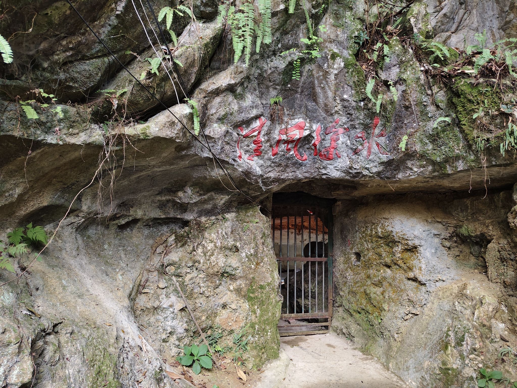 都康田园景区(暂停开放)旅行图片 2