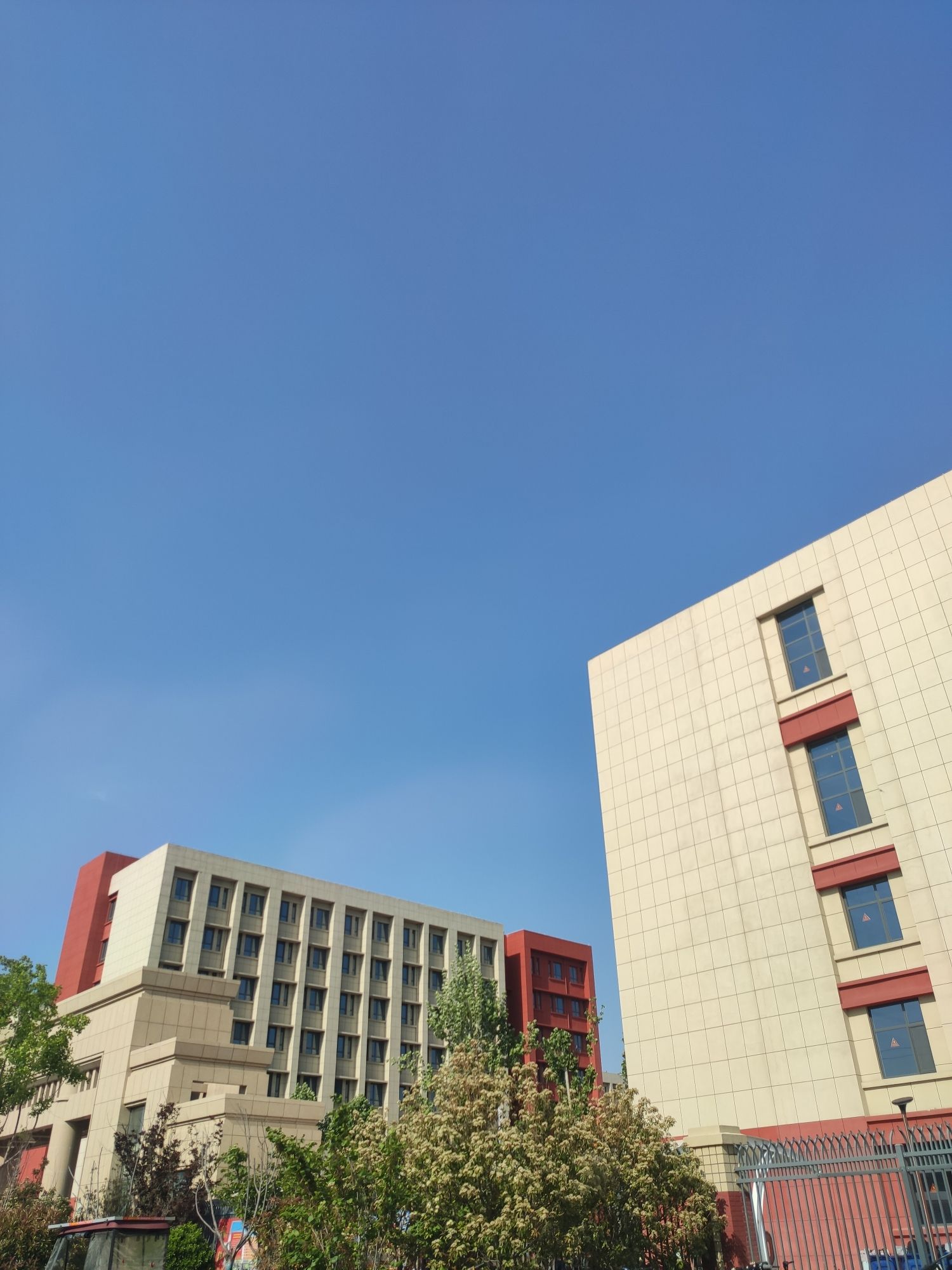 聊城科技职业学院