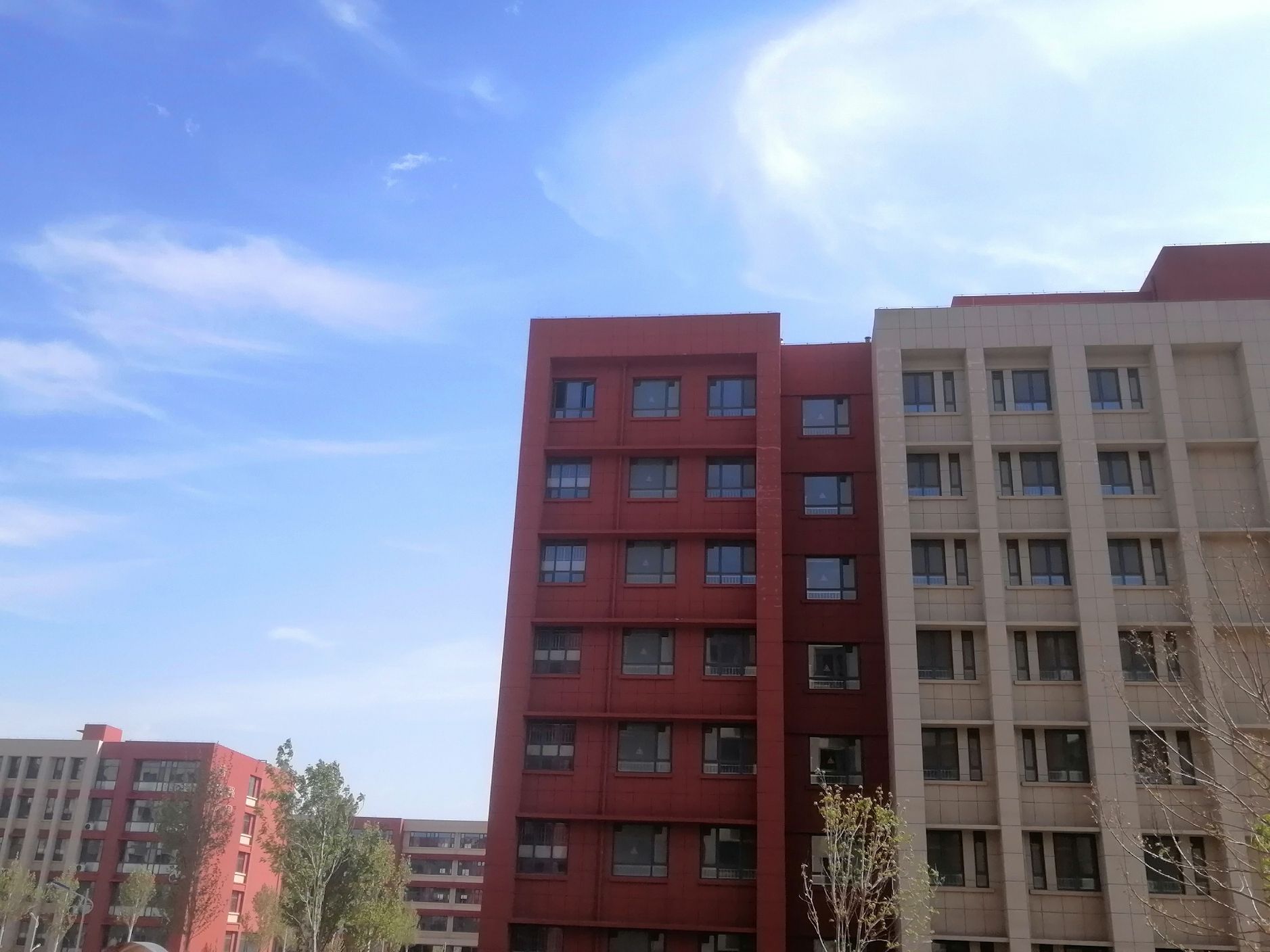 聊城科技职业学院
