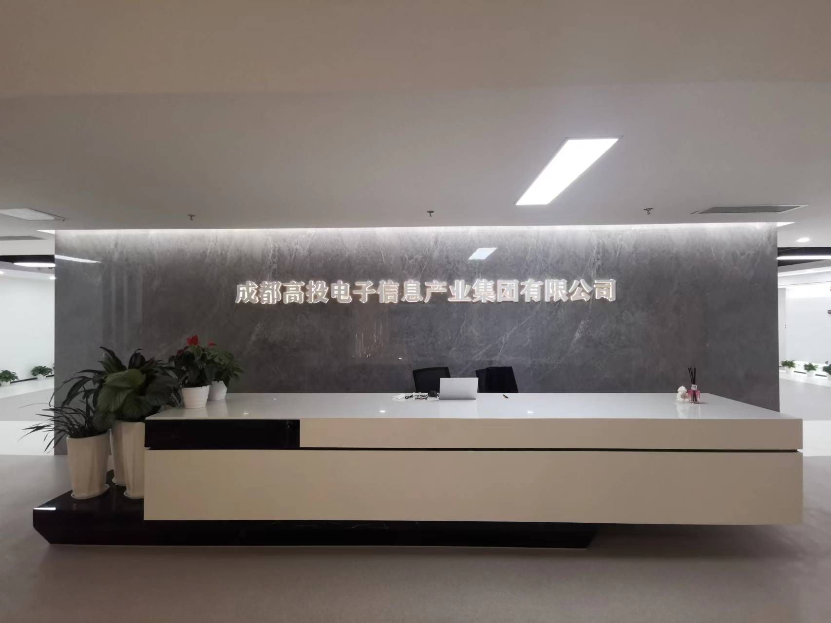 成都高投电子信息产业集团有限公司(电子集团)