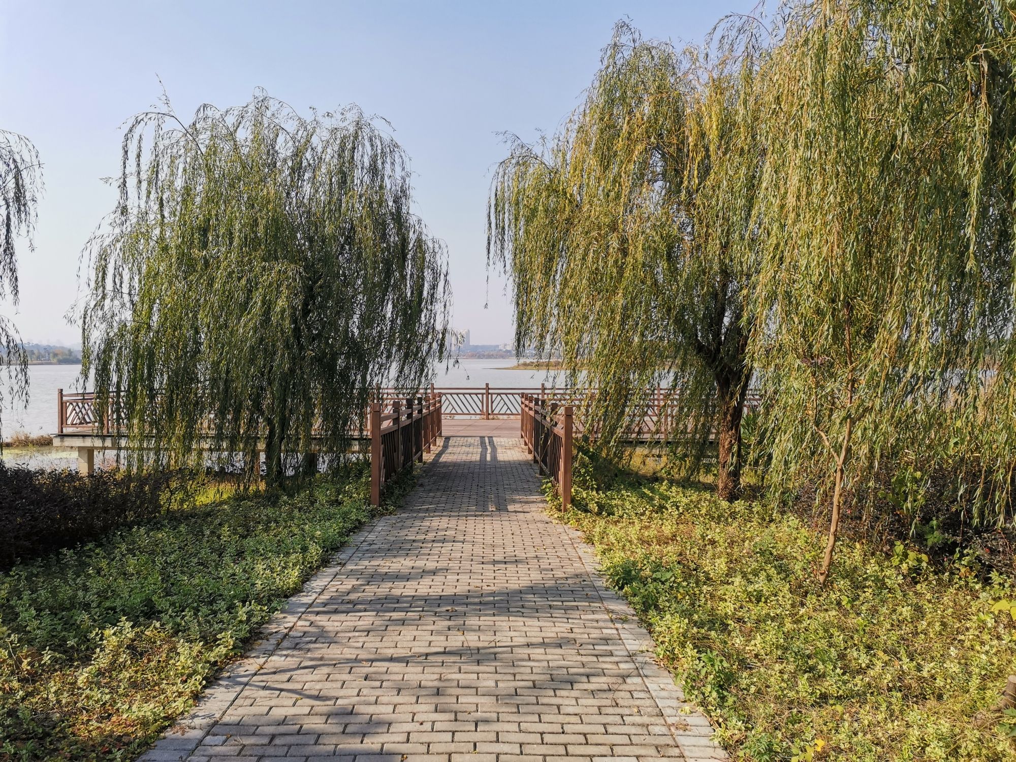 芳兰湖湿地公园观鸟点