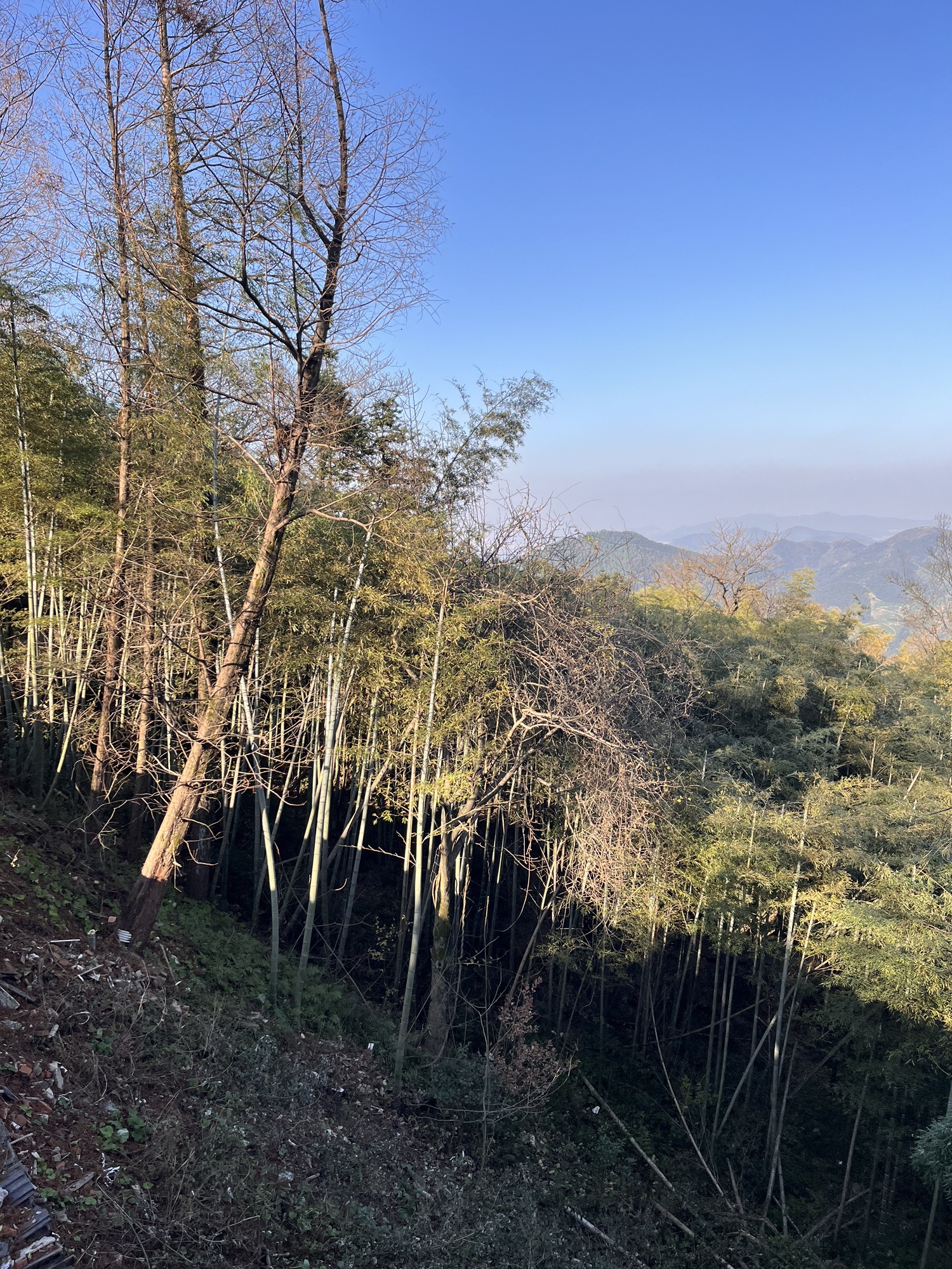 霞雾泉旅行图片 1