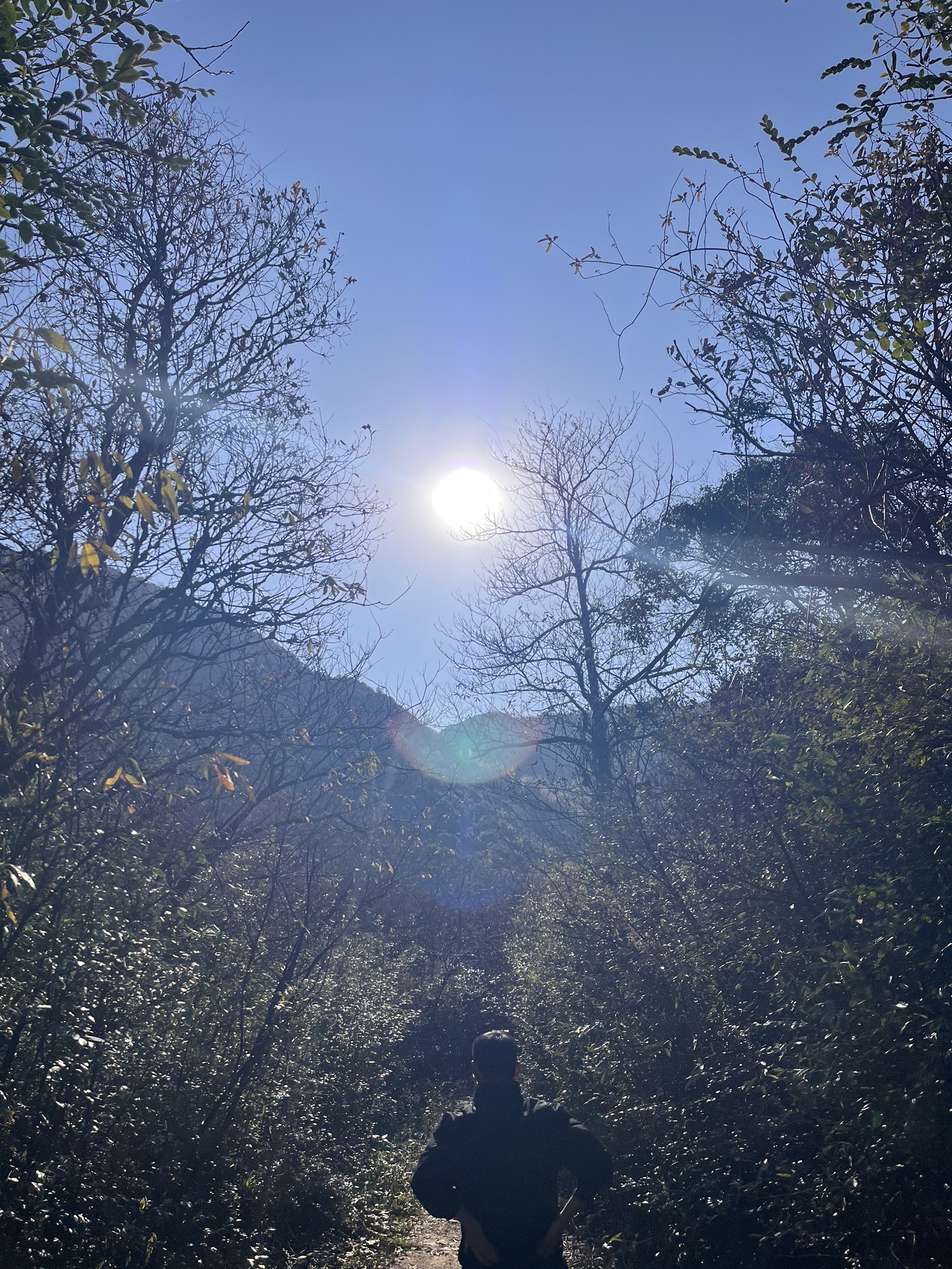 霞雾泉旅行图片 2