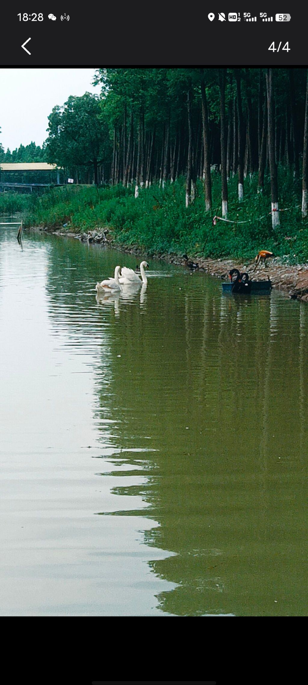 信江生态走廊旅行图片 1