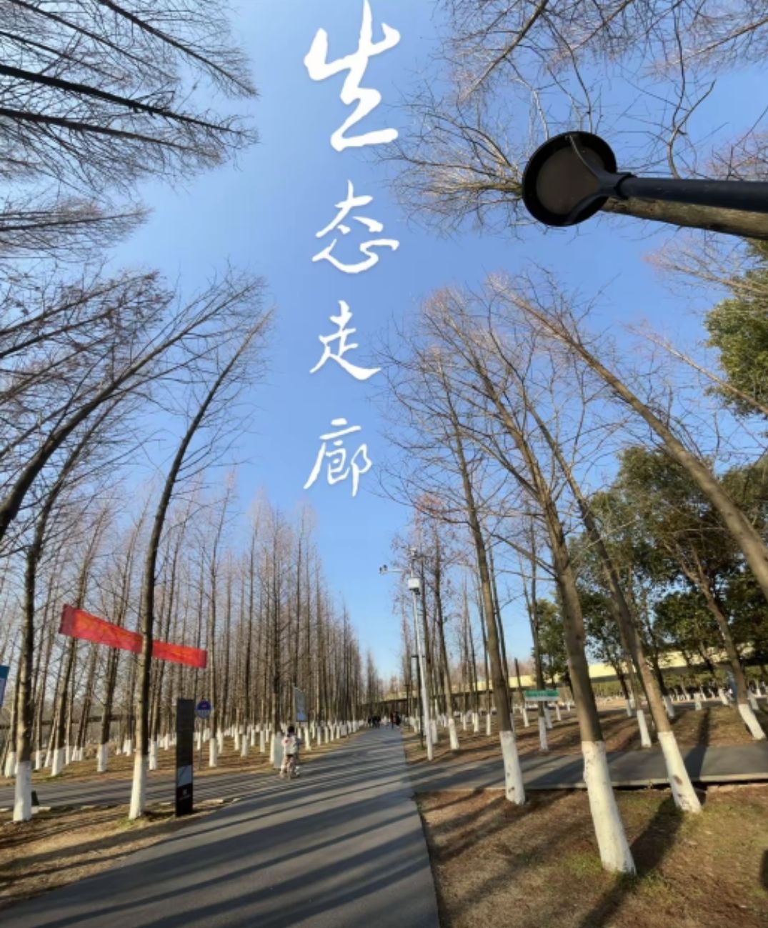 信江生态走廊旅行图片 1