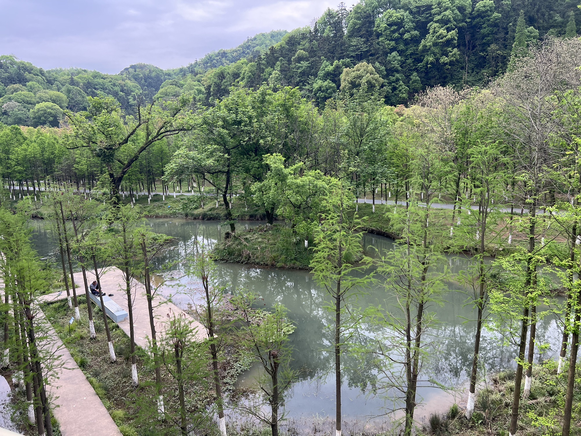 信江生态走廊旅行图片 3