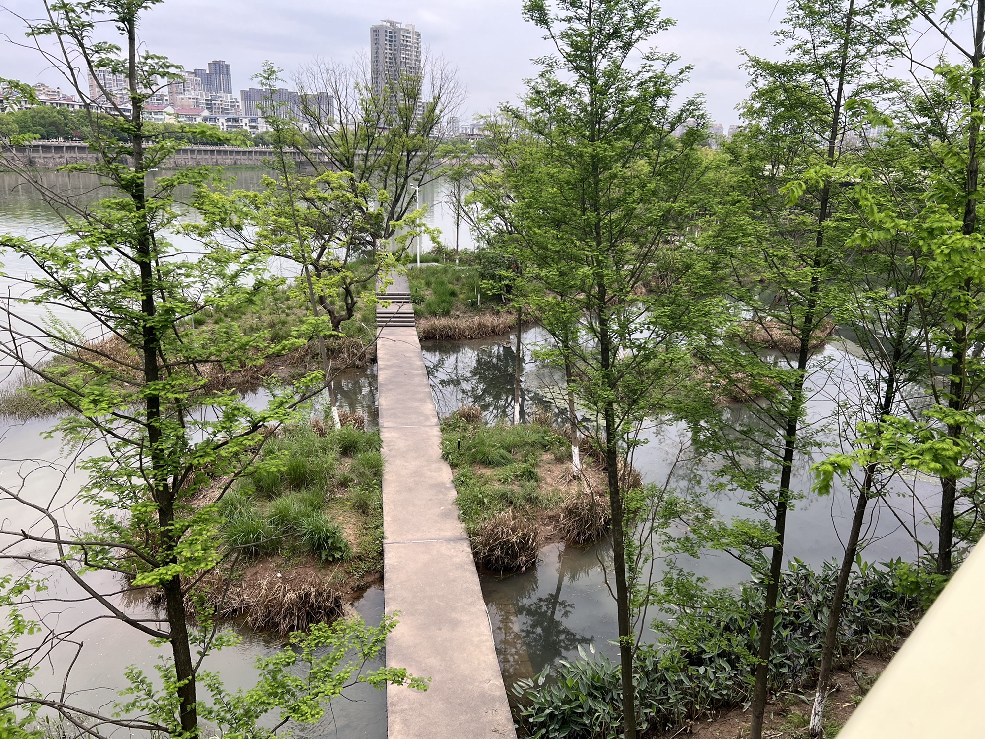 信江生态走廊旅行图片 1
