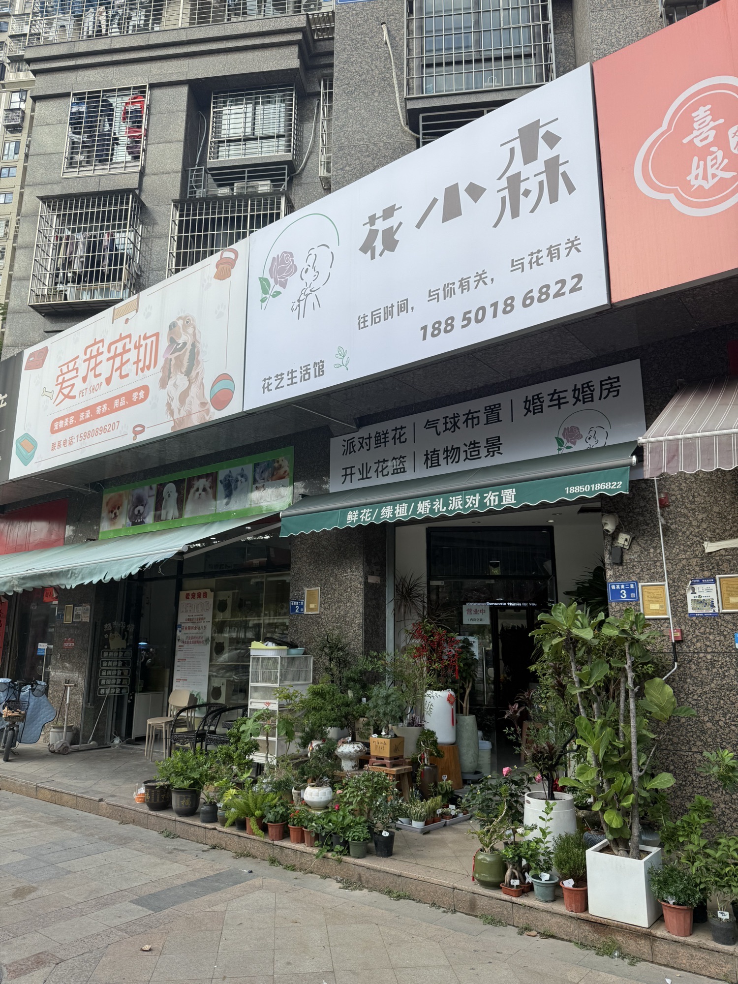 花小森花艺生活馆(凤凰花城二期店)