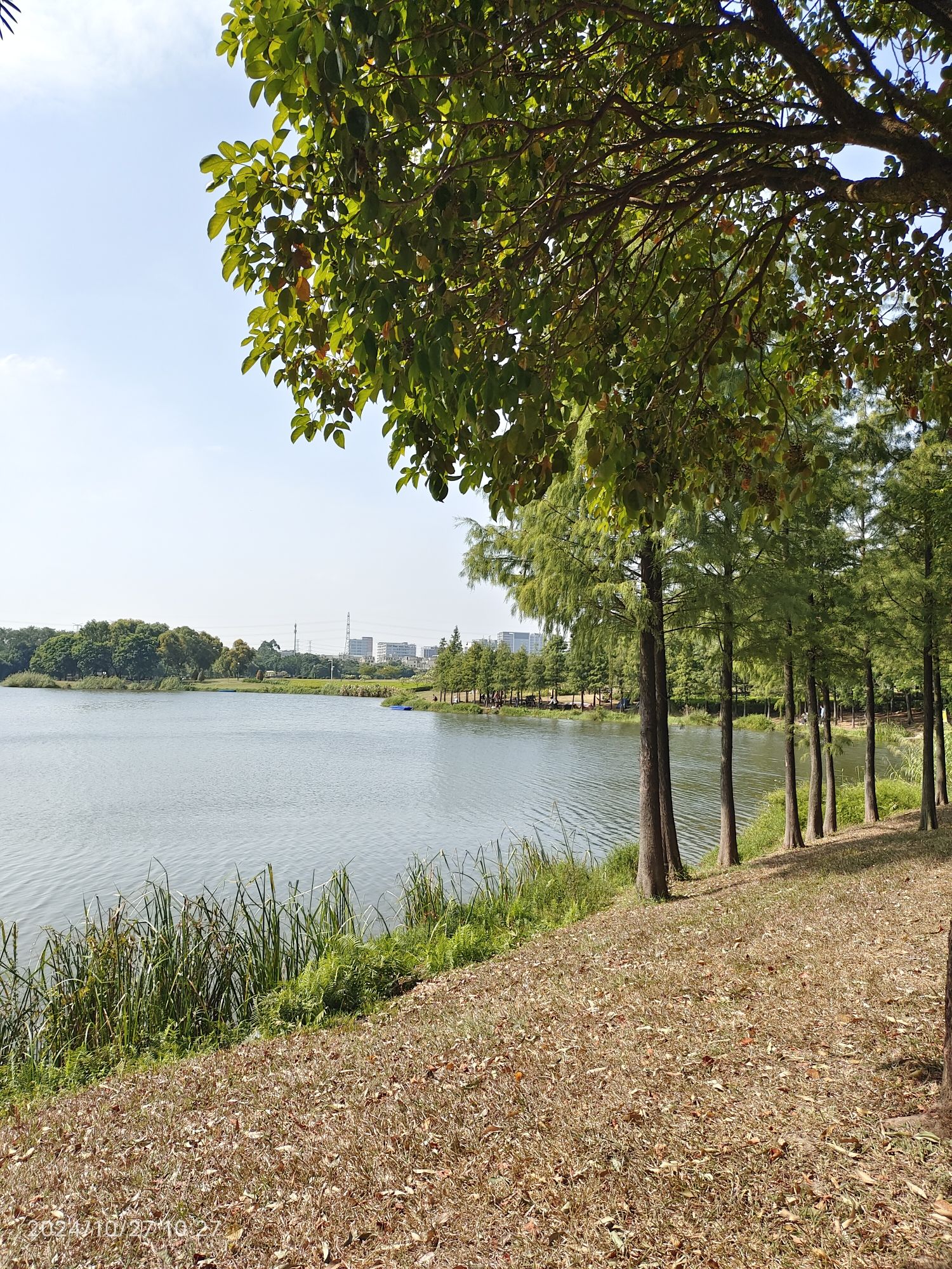 东莞市东莞月湖公园-露营地
