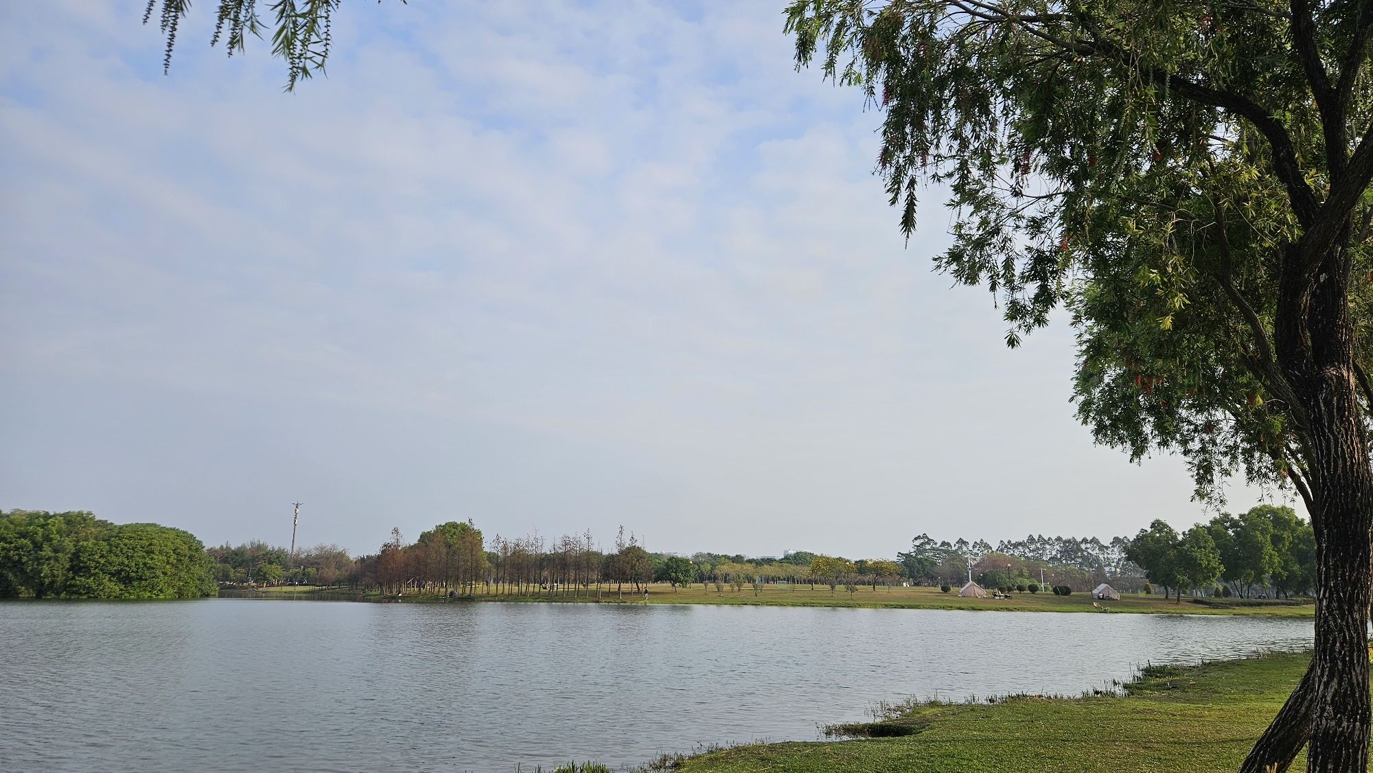 东莞市东莞月湖公园-露营地