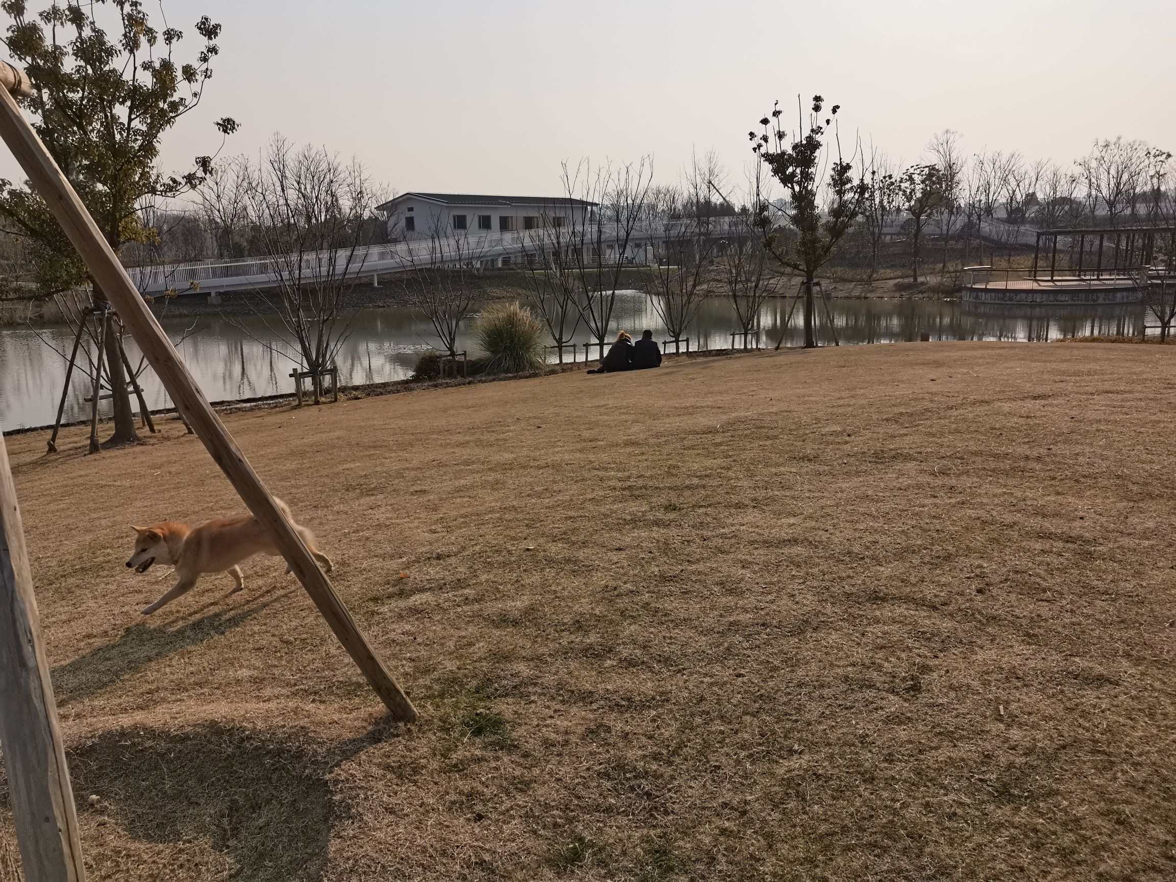 场地封面-春光公园-露营地