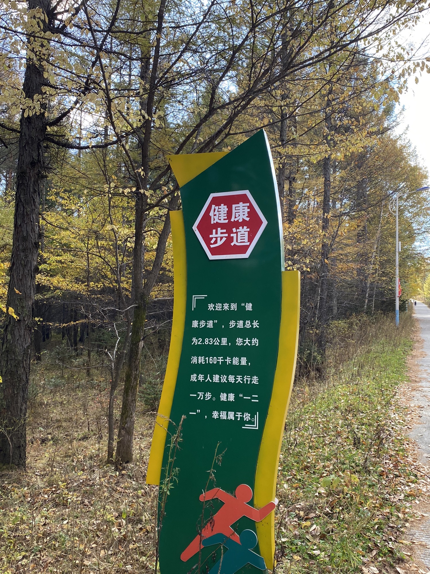 大箐山县健康主题公园旅行图片 1