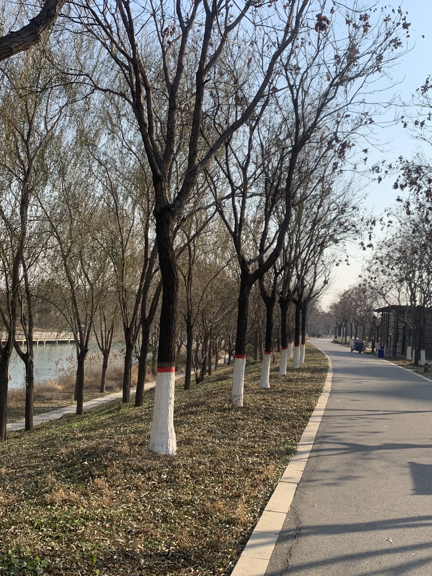 牤牛河历史文化公园旅行图片 2