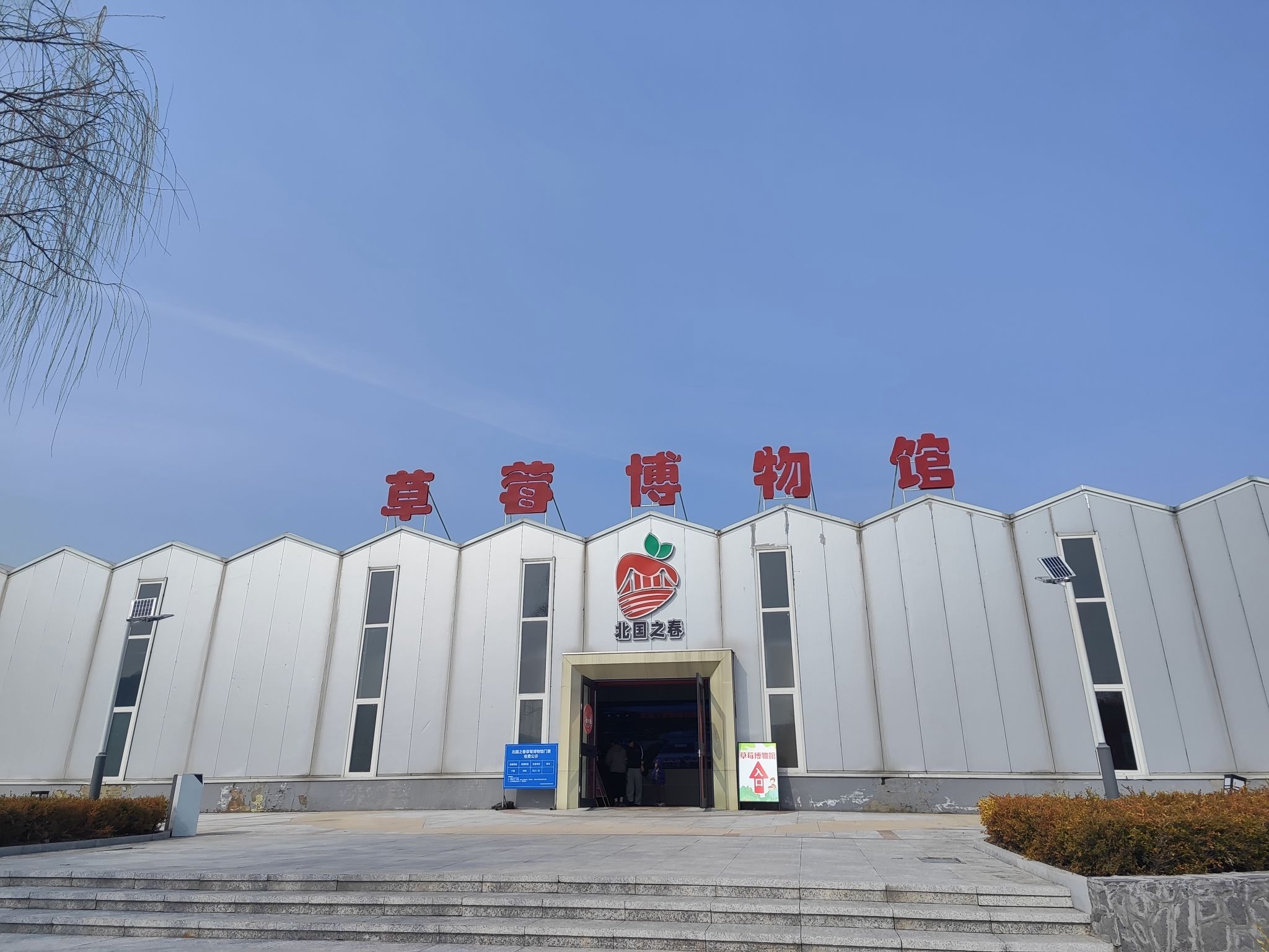 草莓博物馆旅行图片 2