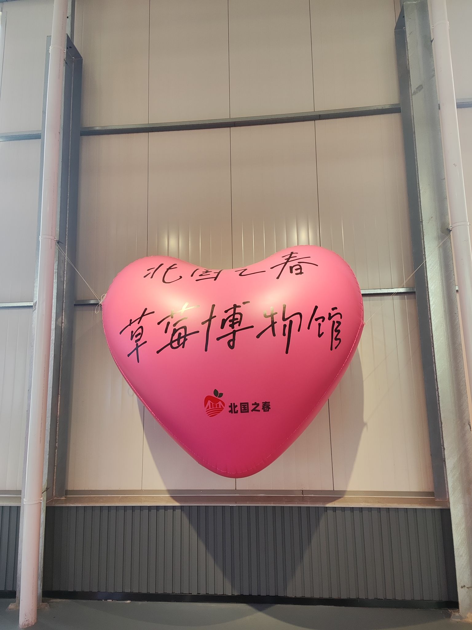 草莓博物馆旅行图片 1