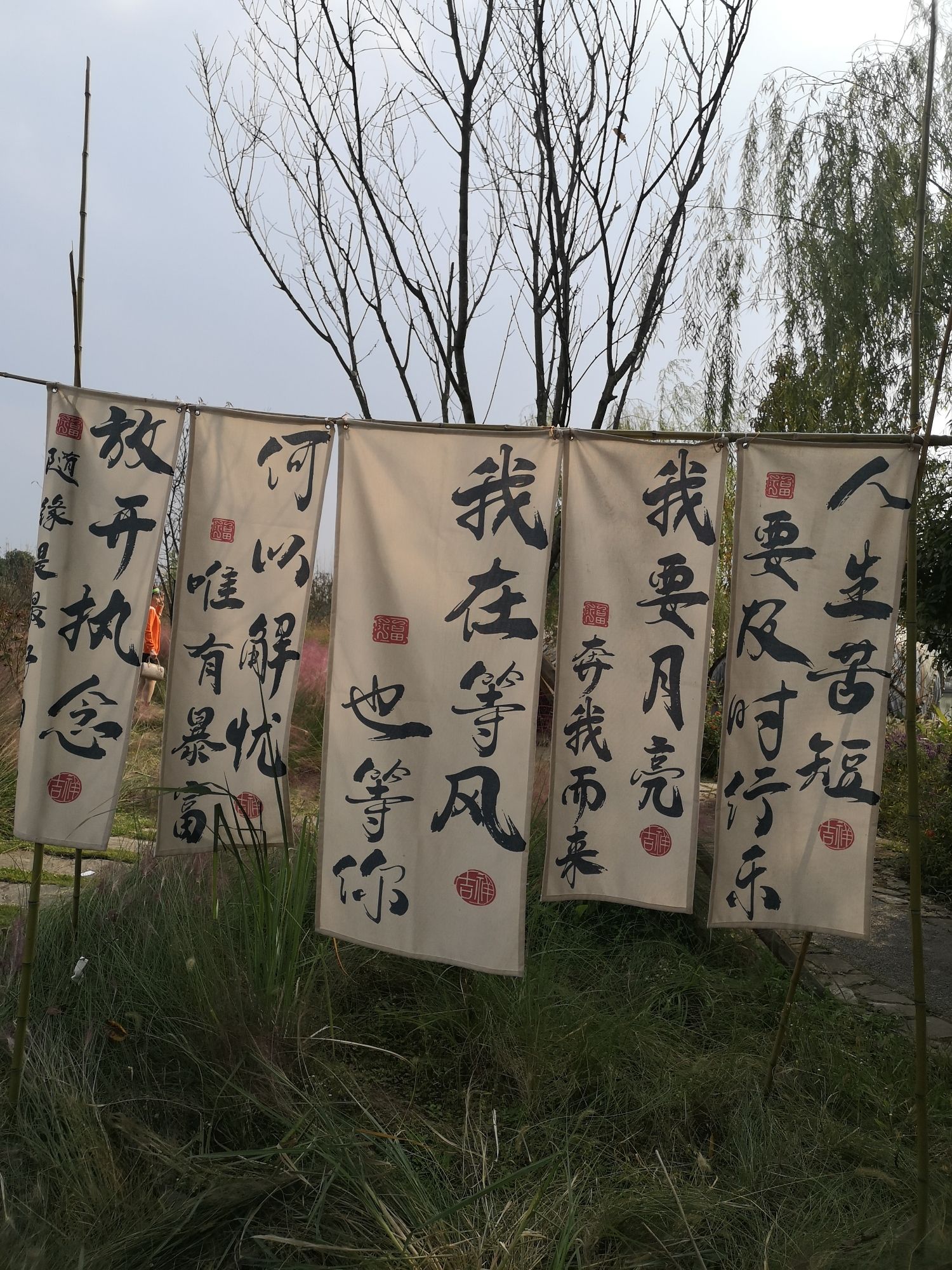 横山花湖景区旅行图片 1