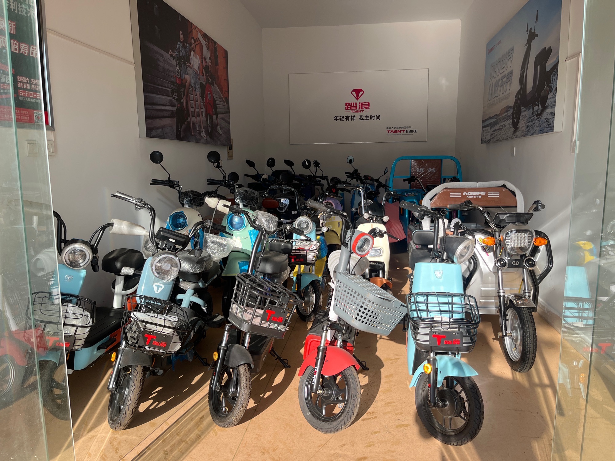 踏浪电动车(巢湖总店)