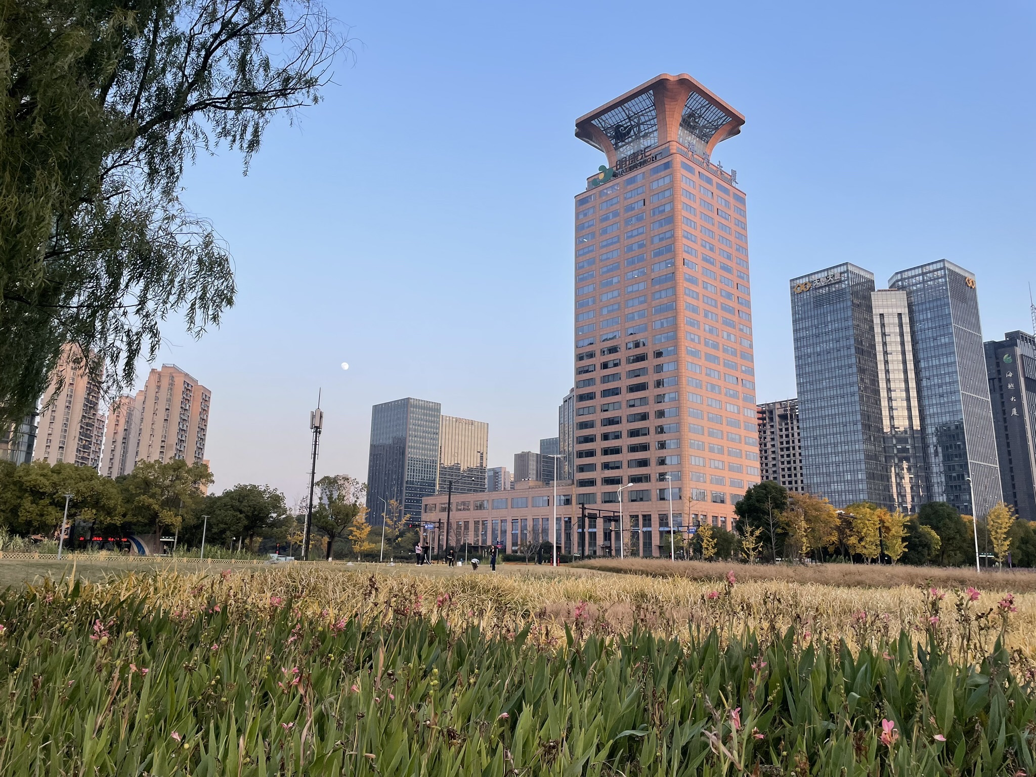 江畔绿地公园旅行图片 3