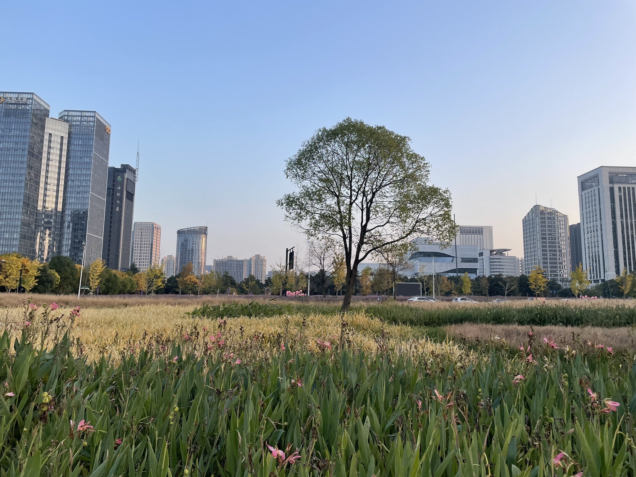 江畔绿地公园旅行图片 1