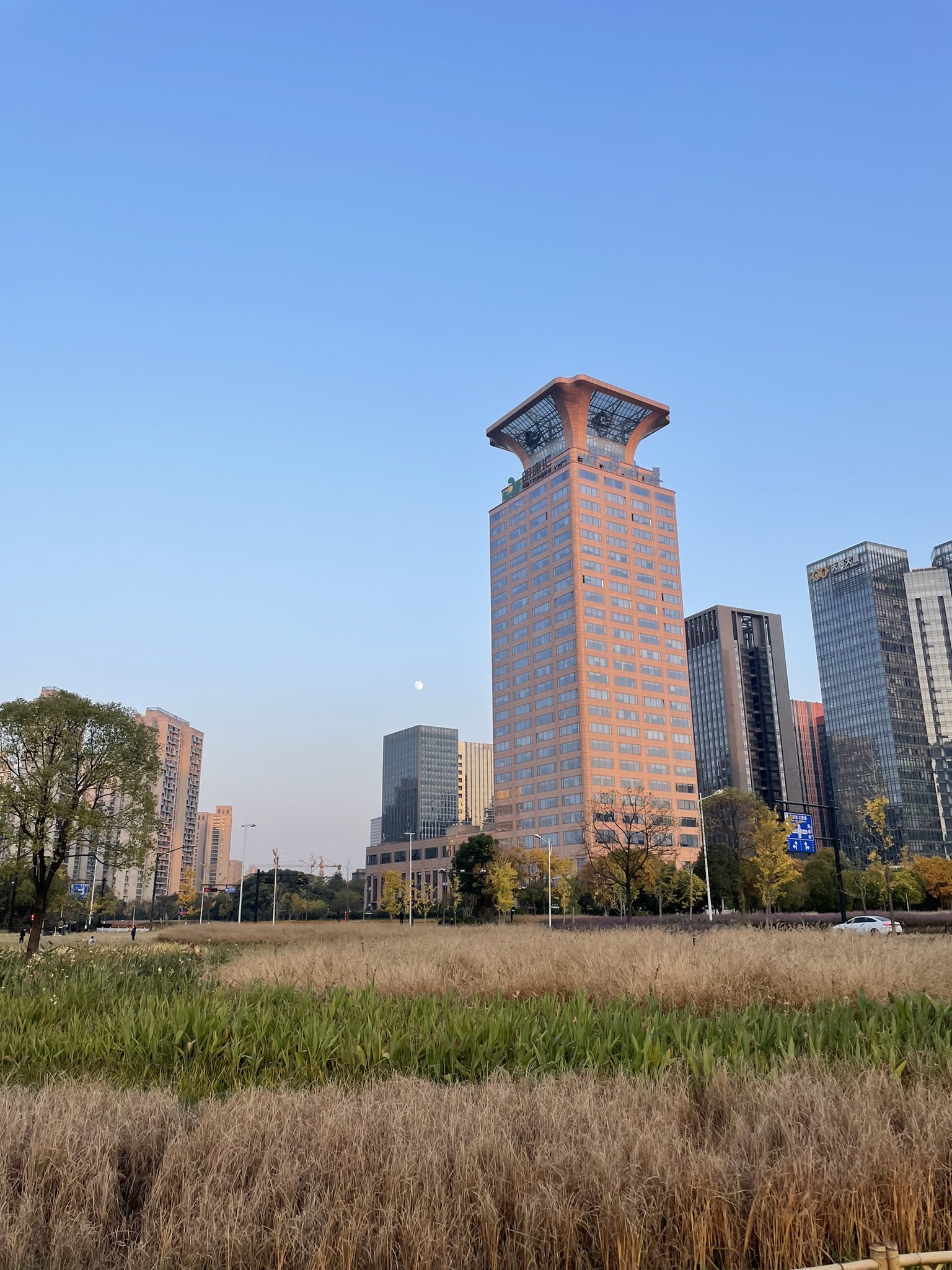 江畔绿地公园旅行图片 2