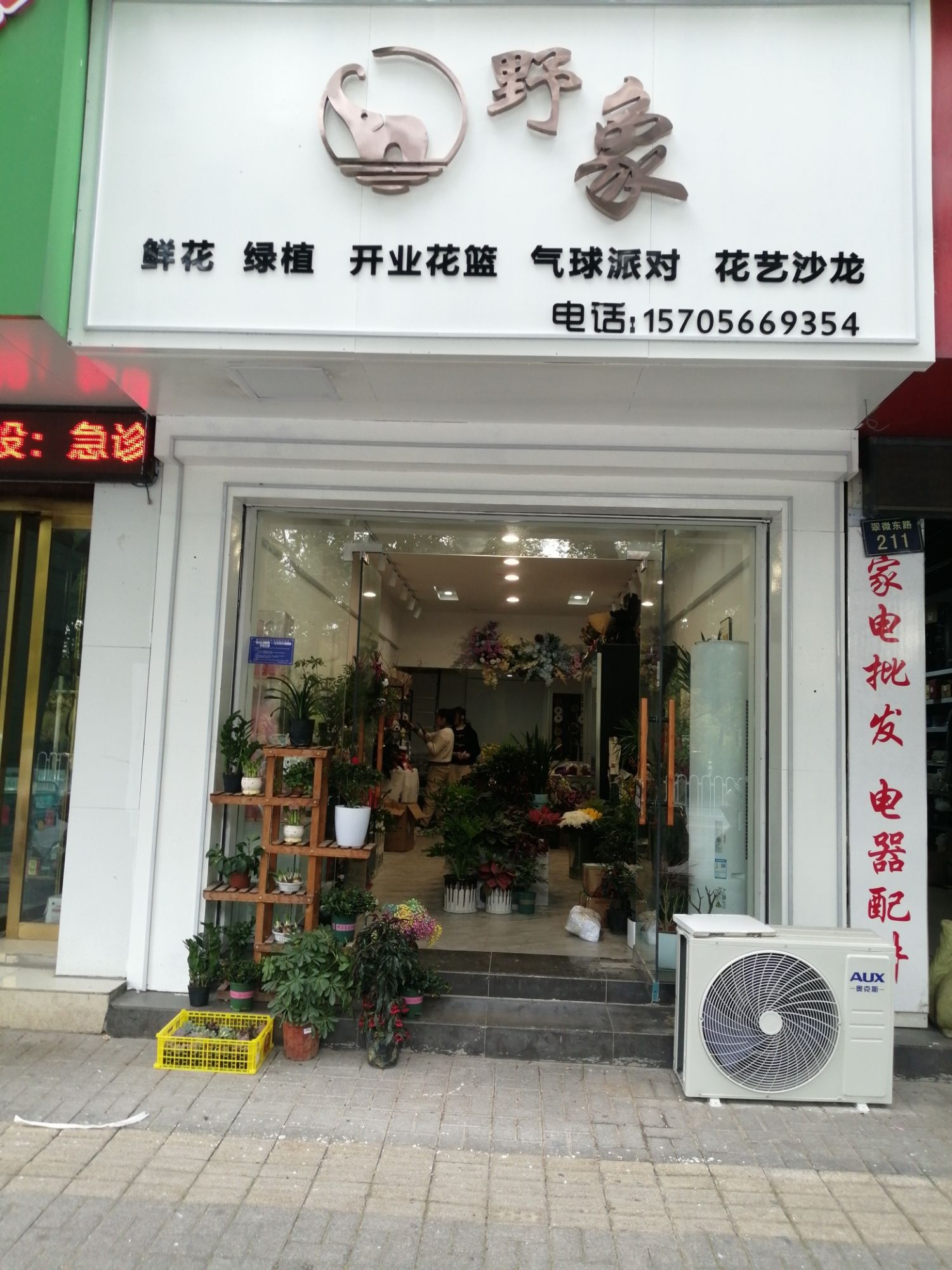 野象鲜花