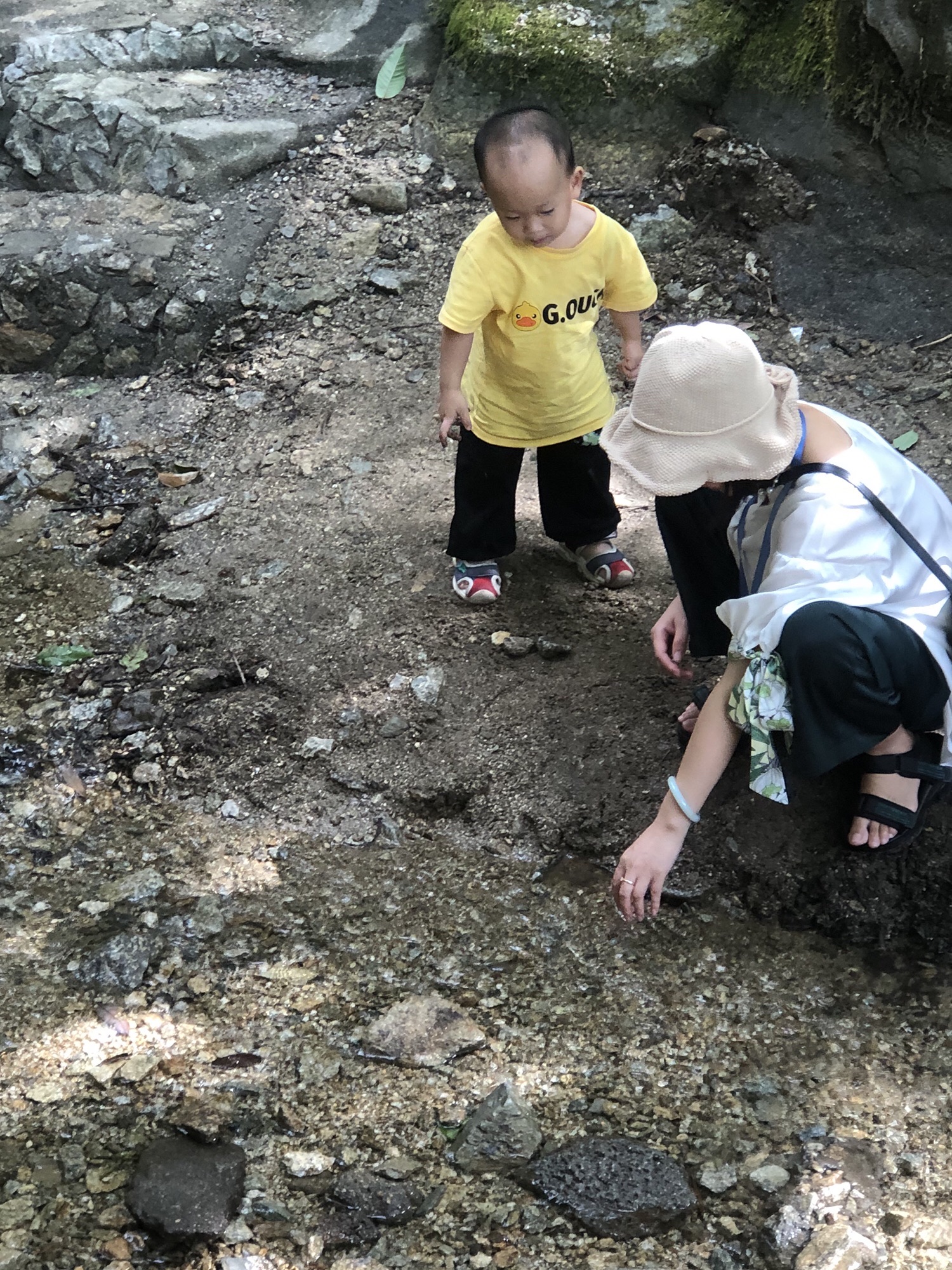 槽下乡村森林公园旅行图片