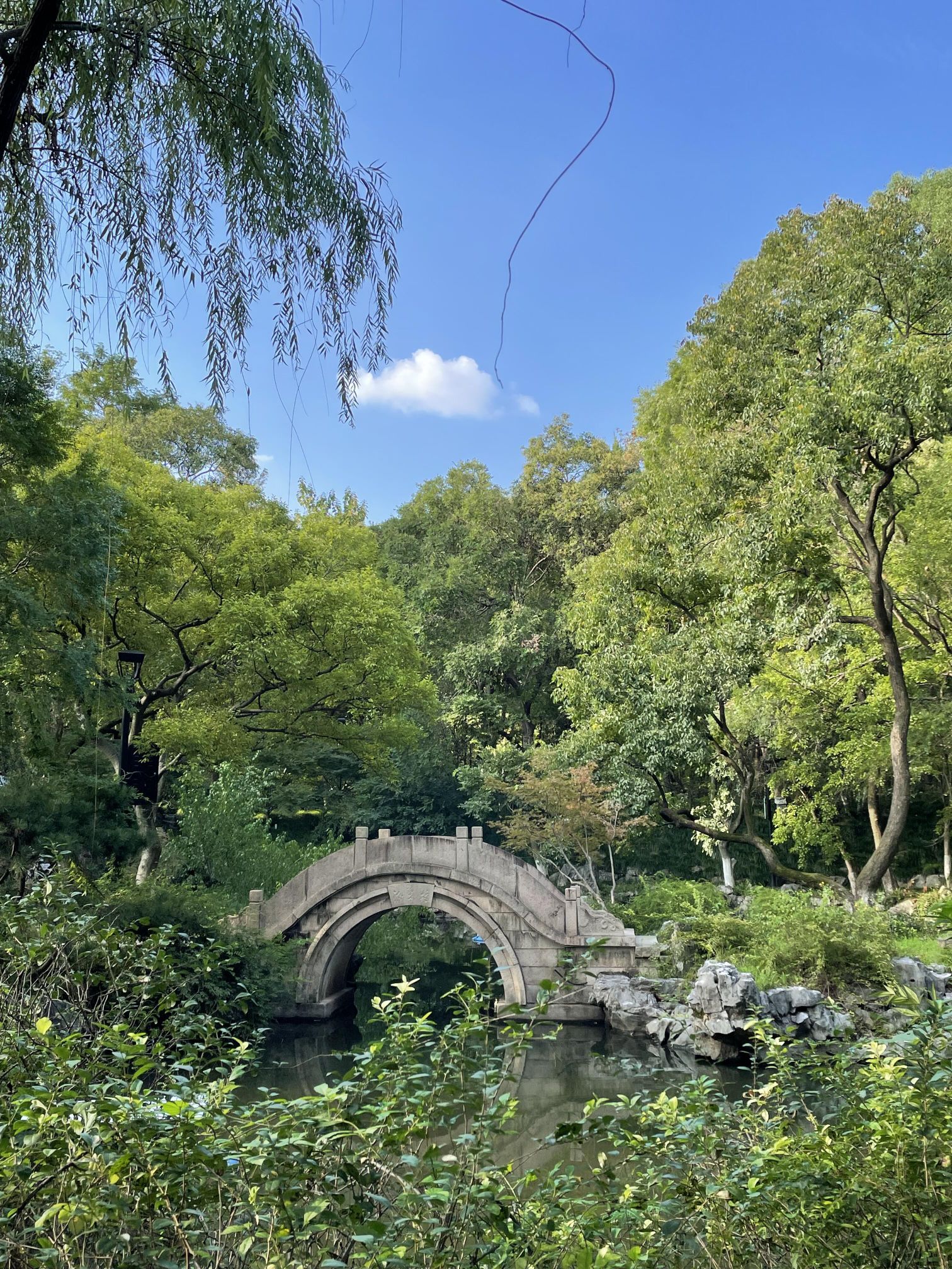 贤文公园旅行图片 1