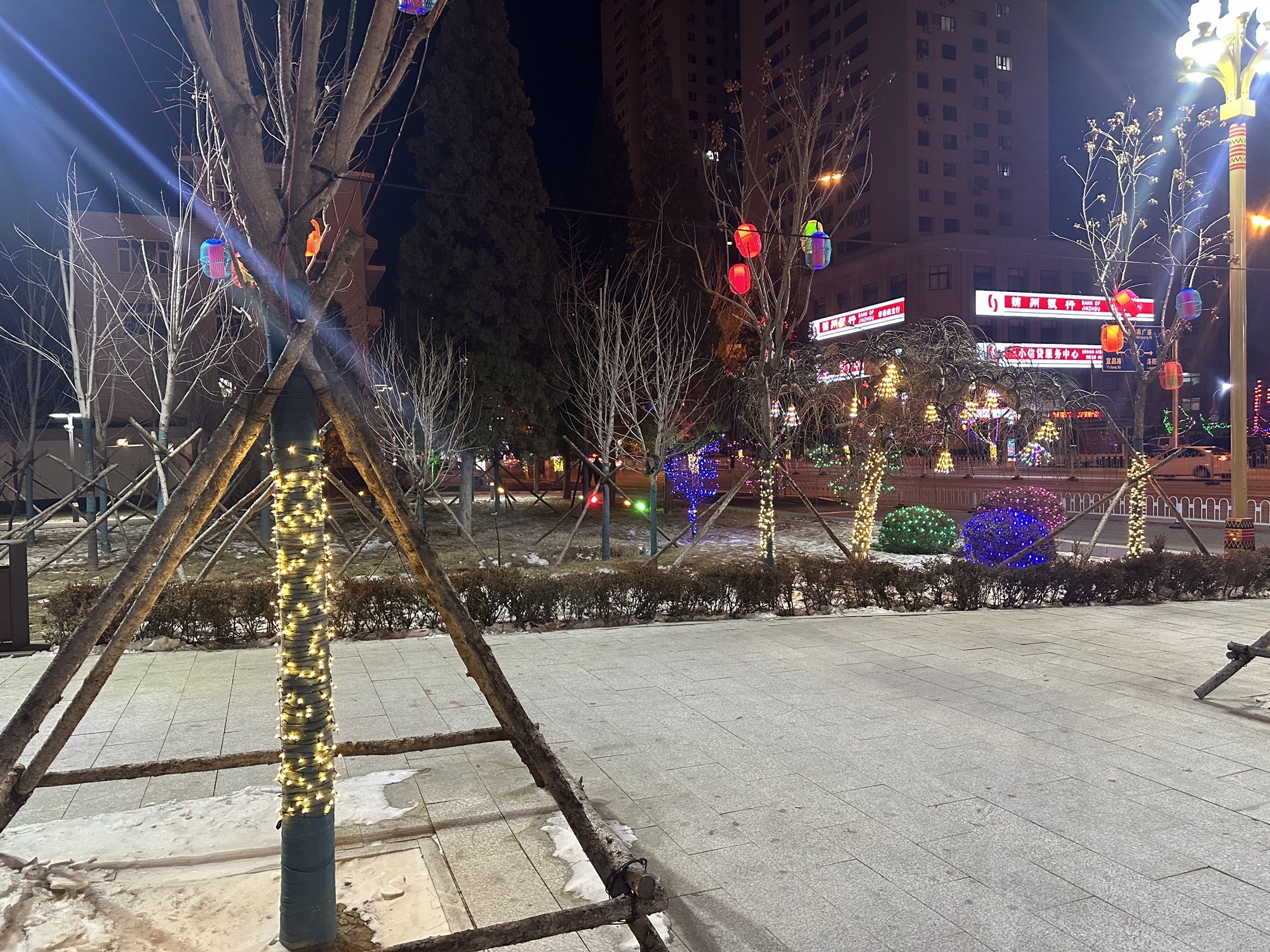 云飞公园旅行图片 3