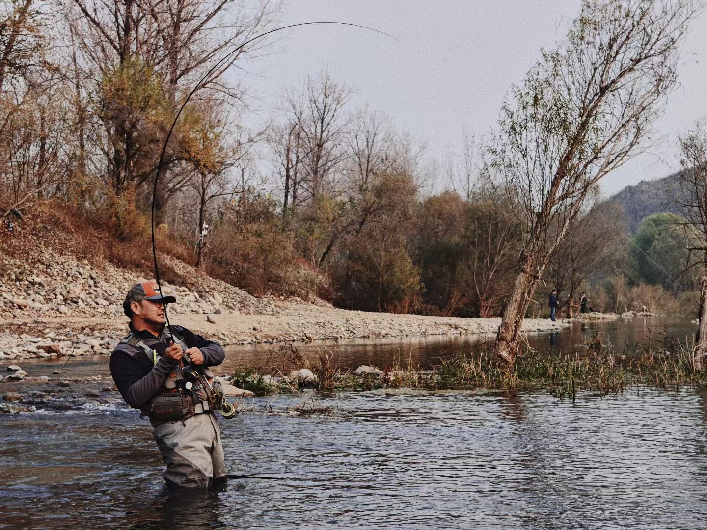 场地封面-林生小鳟