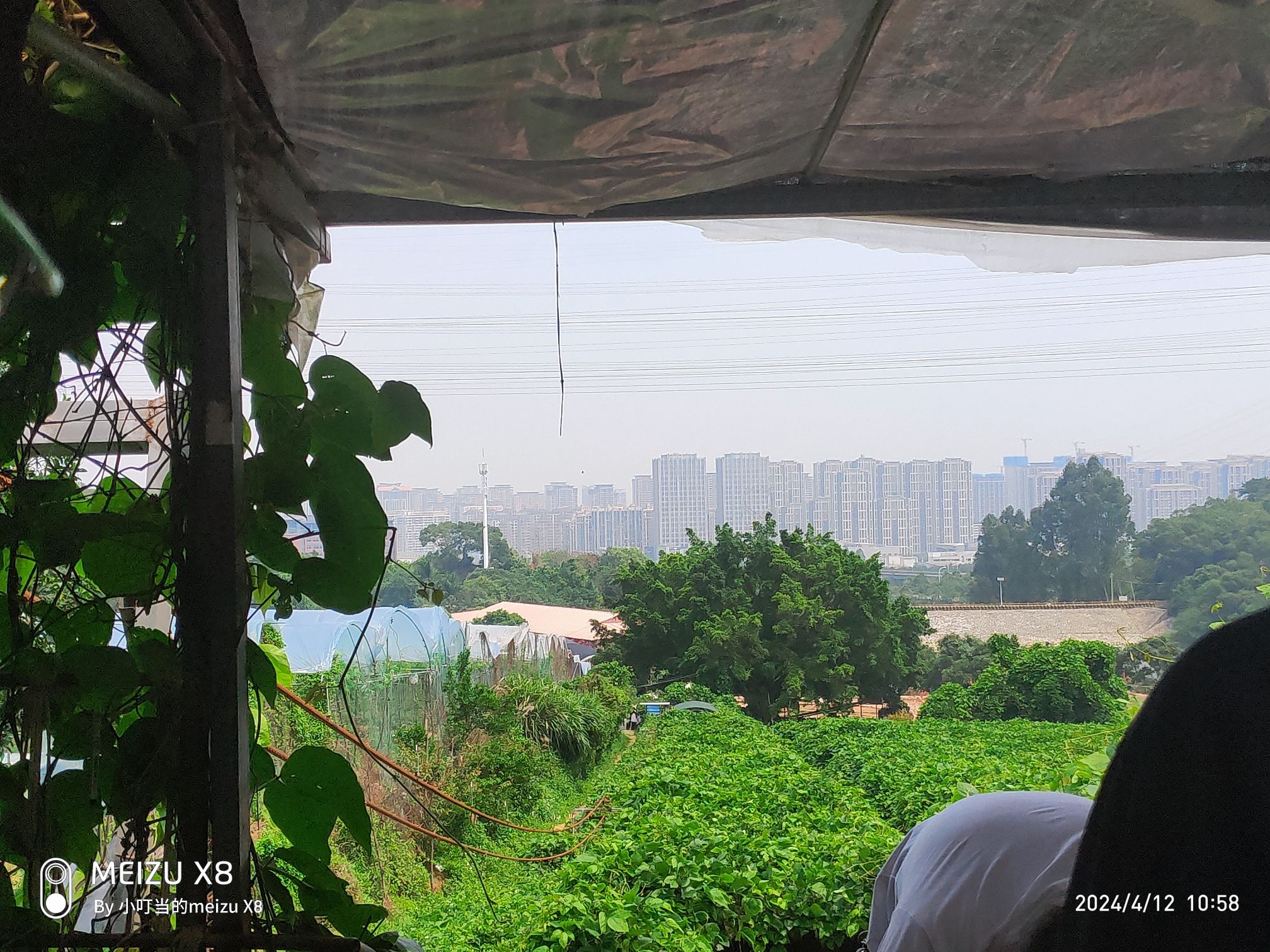 花果小镇旅行图片 2