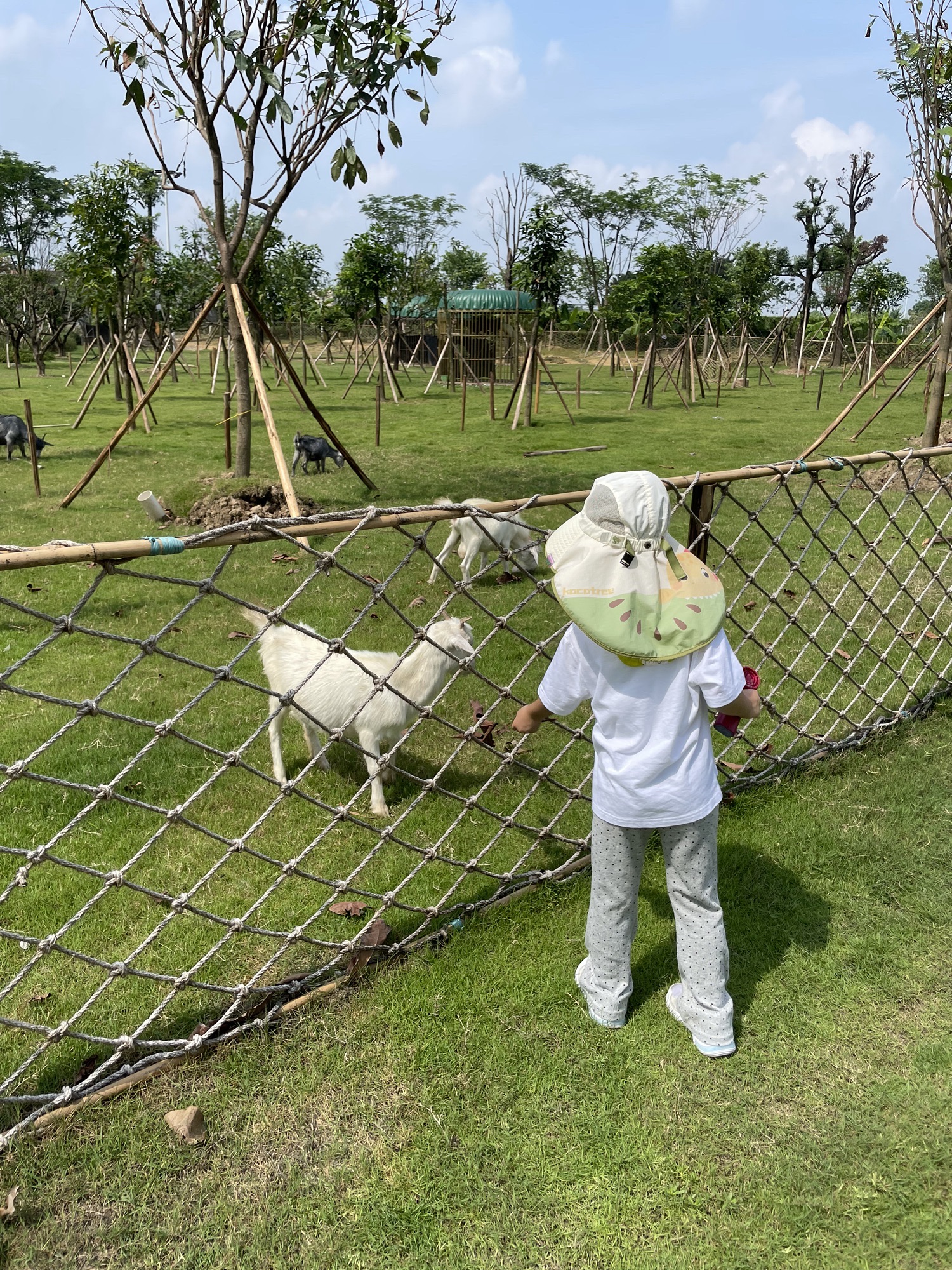 悦生自然营地