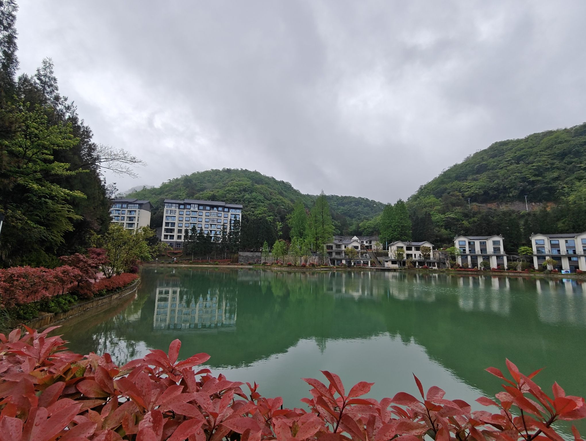 场地封面-乐村·云湖花海露营基地