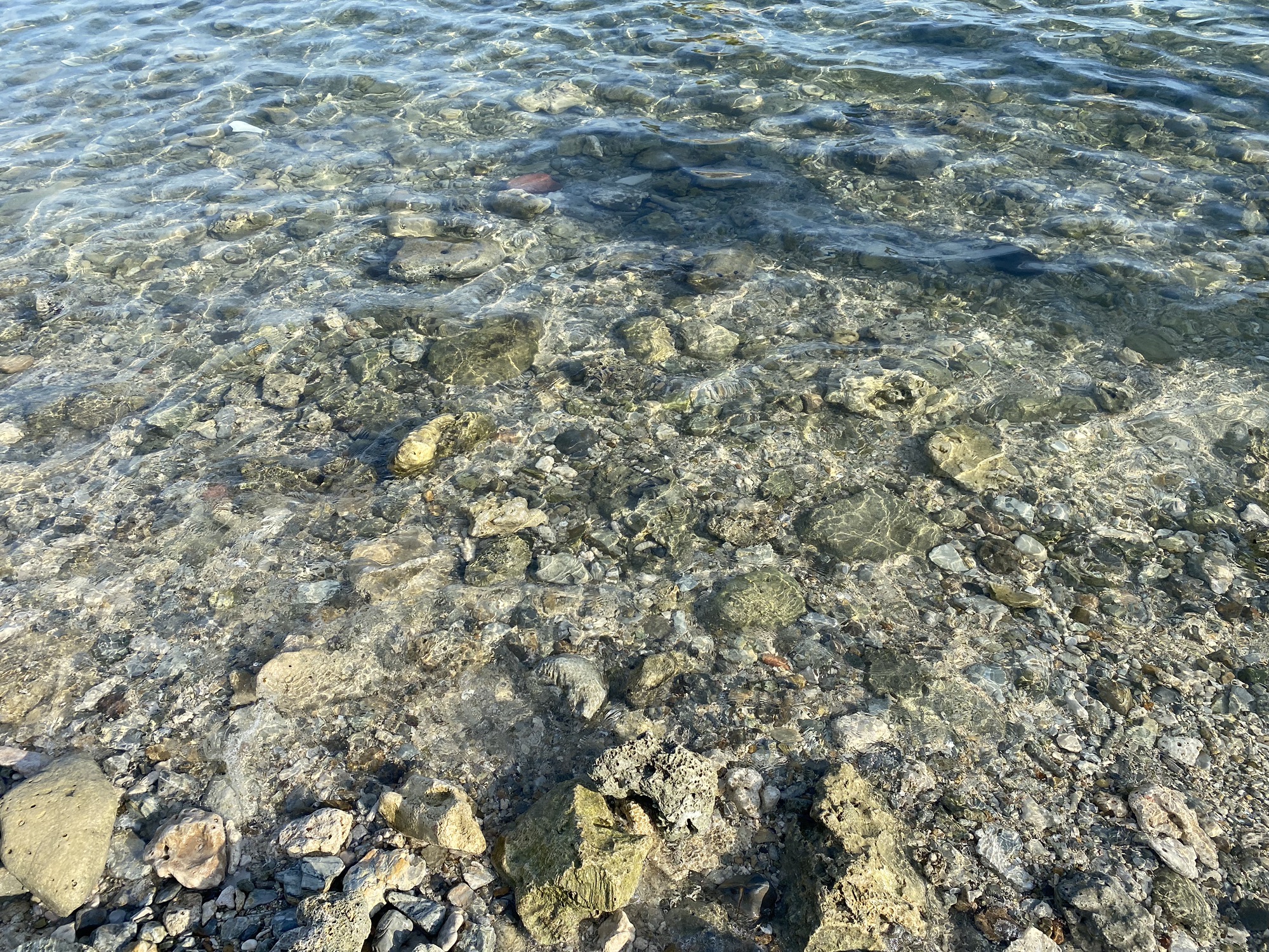 小东海海滩旅行图片 2