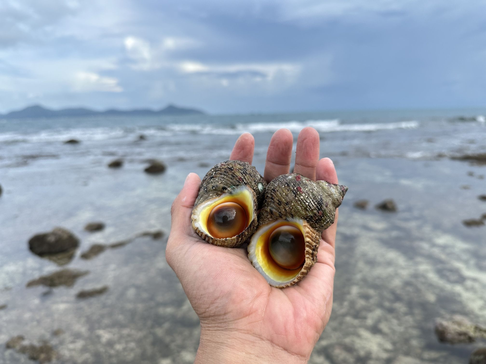 小东海海滩旅行图片 2