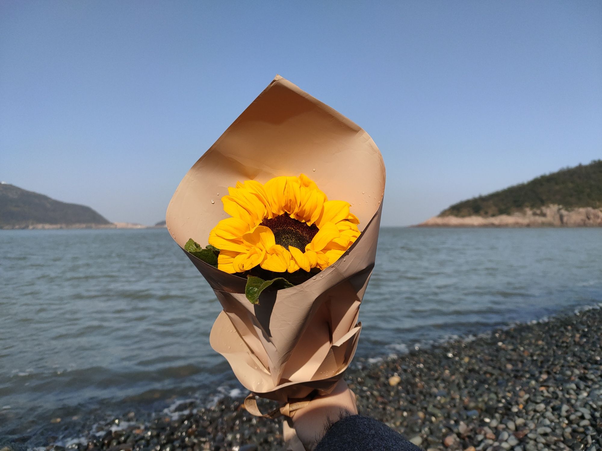 日岙村后沙黑鹅卵石石滩旅行图片 3