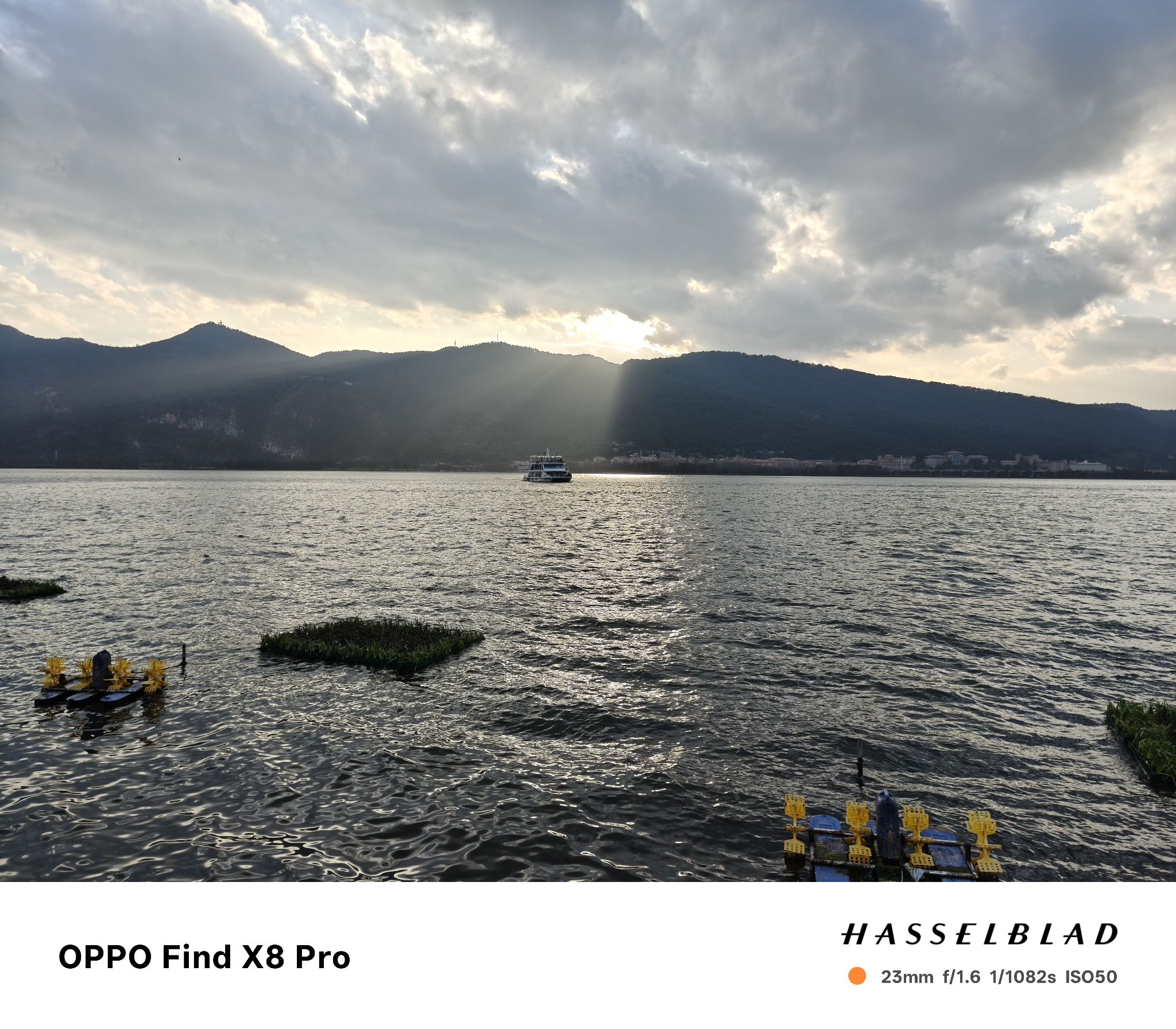 滇池海鸥观景点