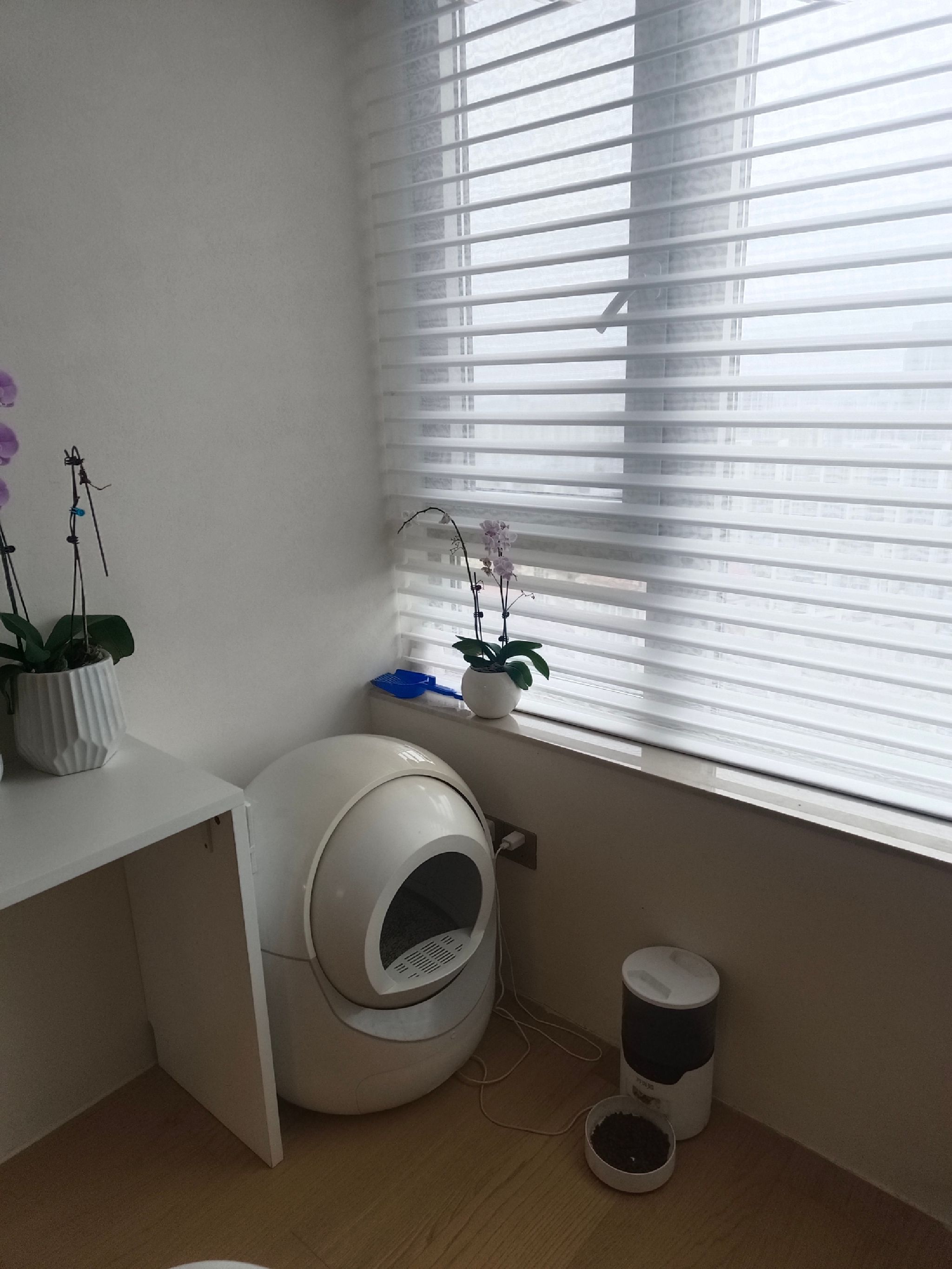 场地封面-晨曦瑜伽·普拉提