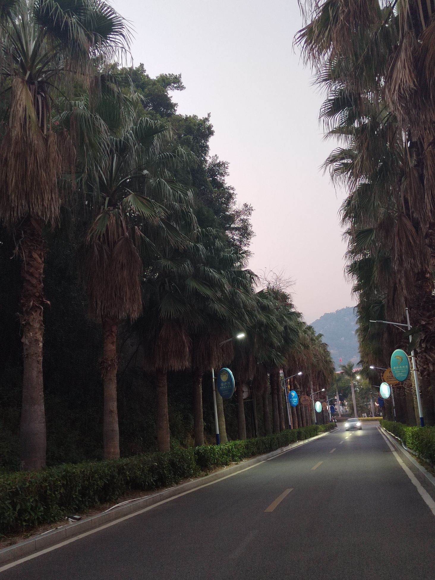 曾厝垵景区旅行图片 3