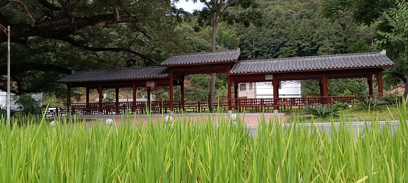 嶂拔同德公园旅行图片 2