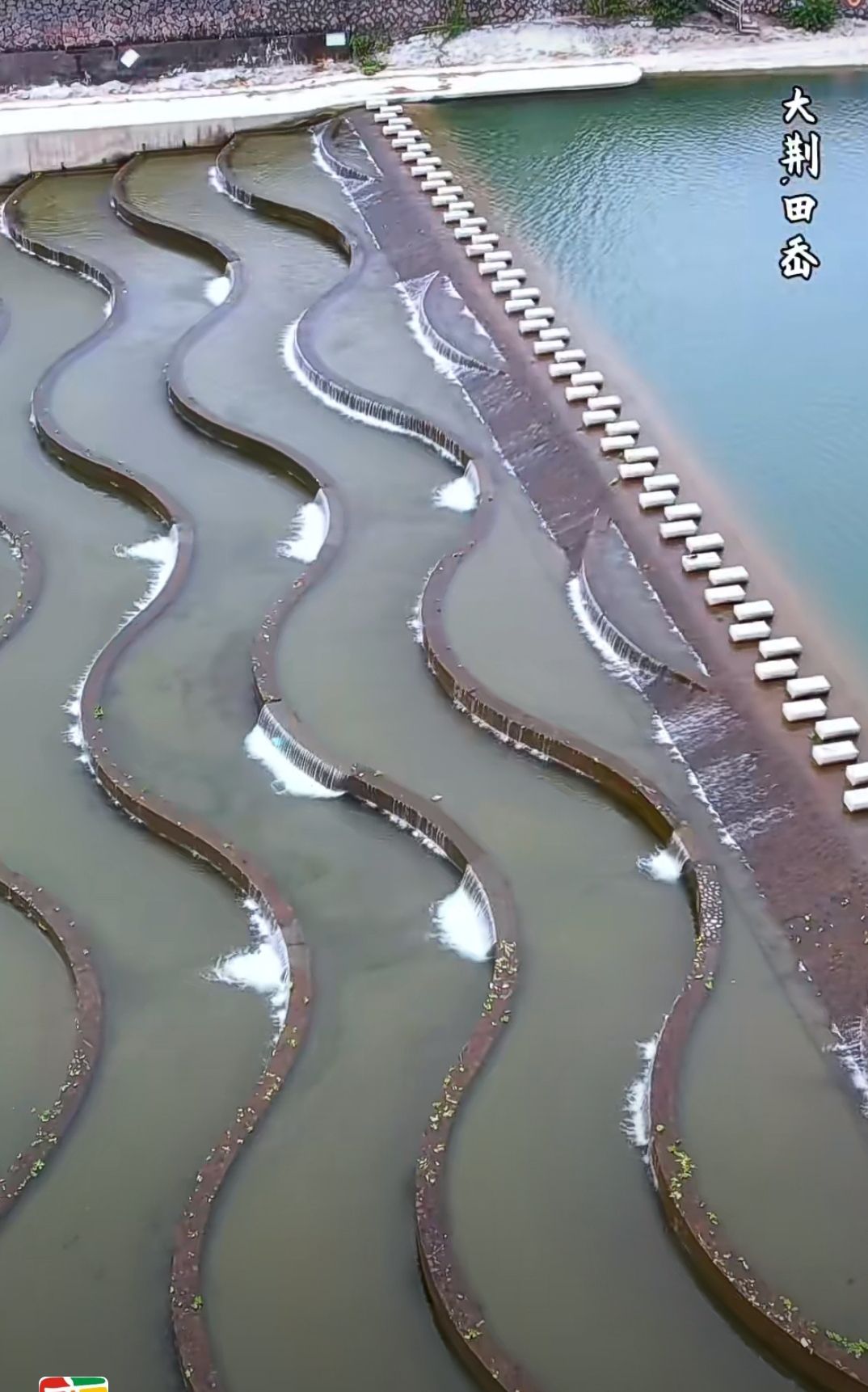 田岙网红坝旅行图片 3