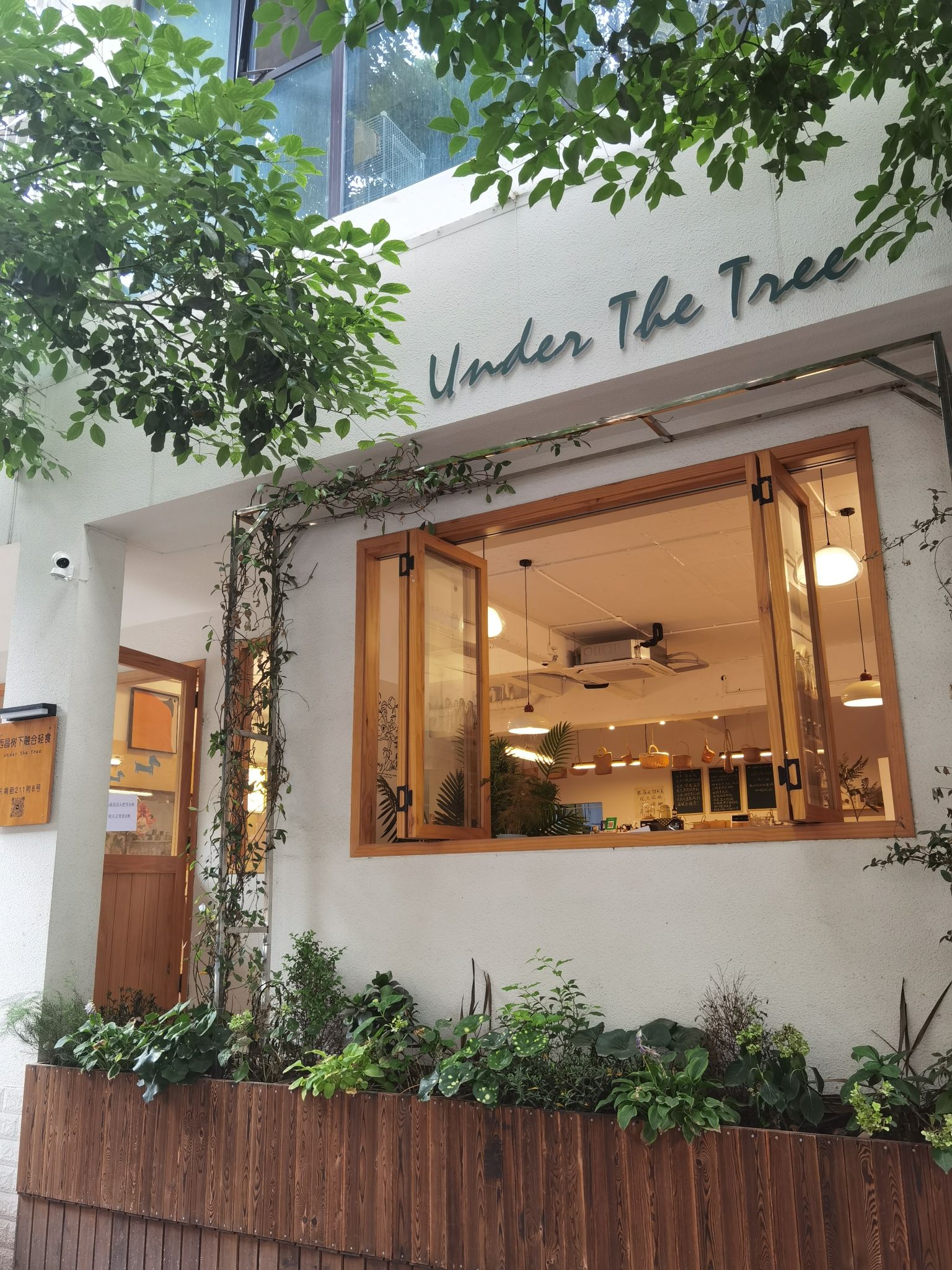 树下融合餐厅(总店)