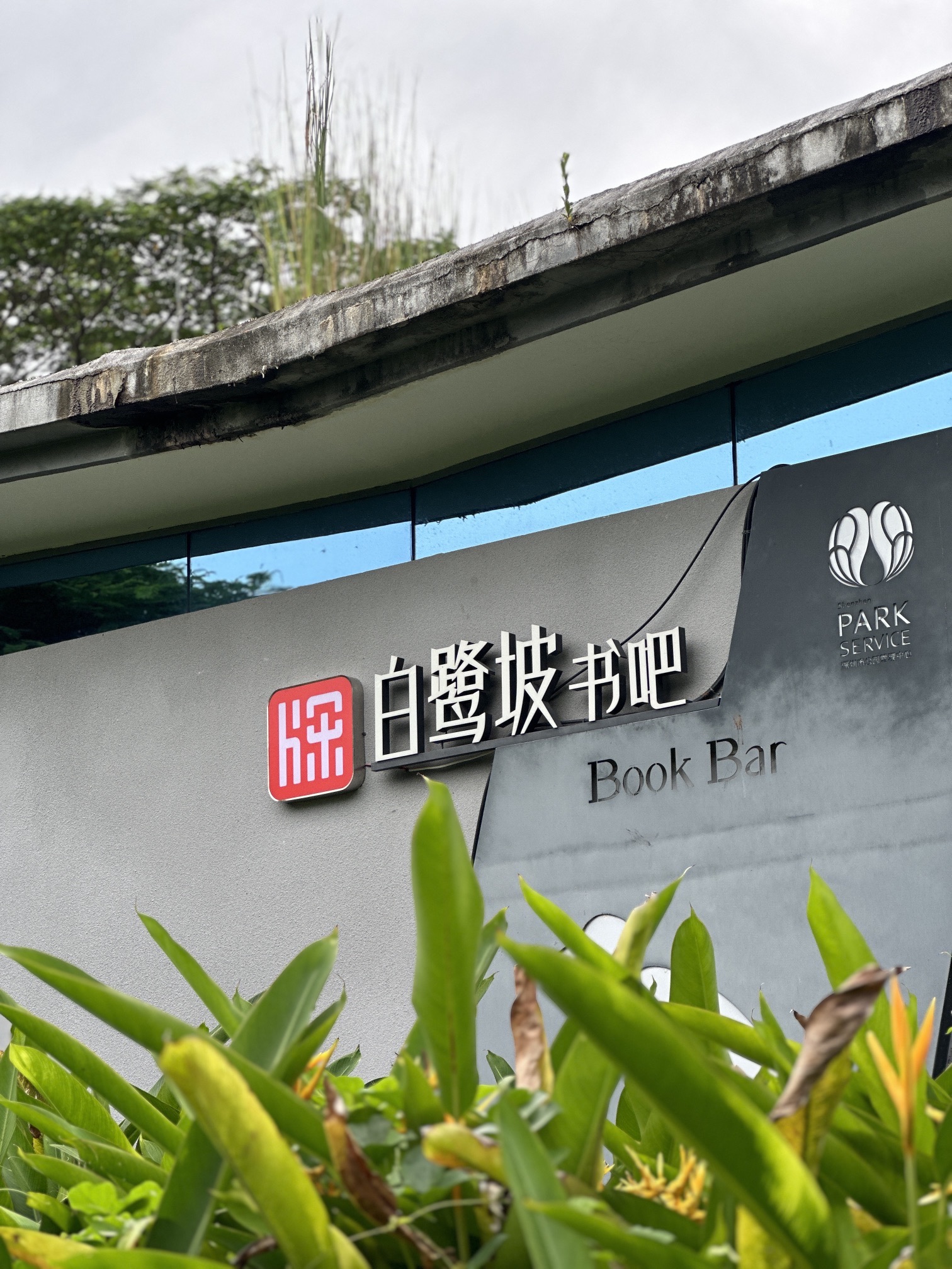 白鹭坡书吧