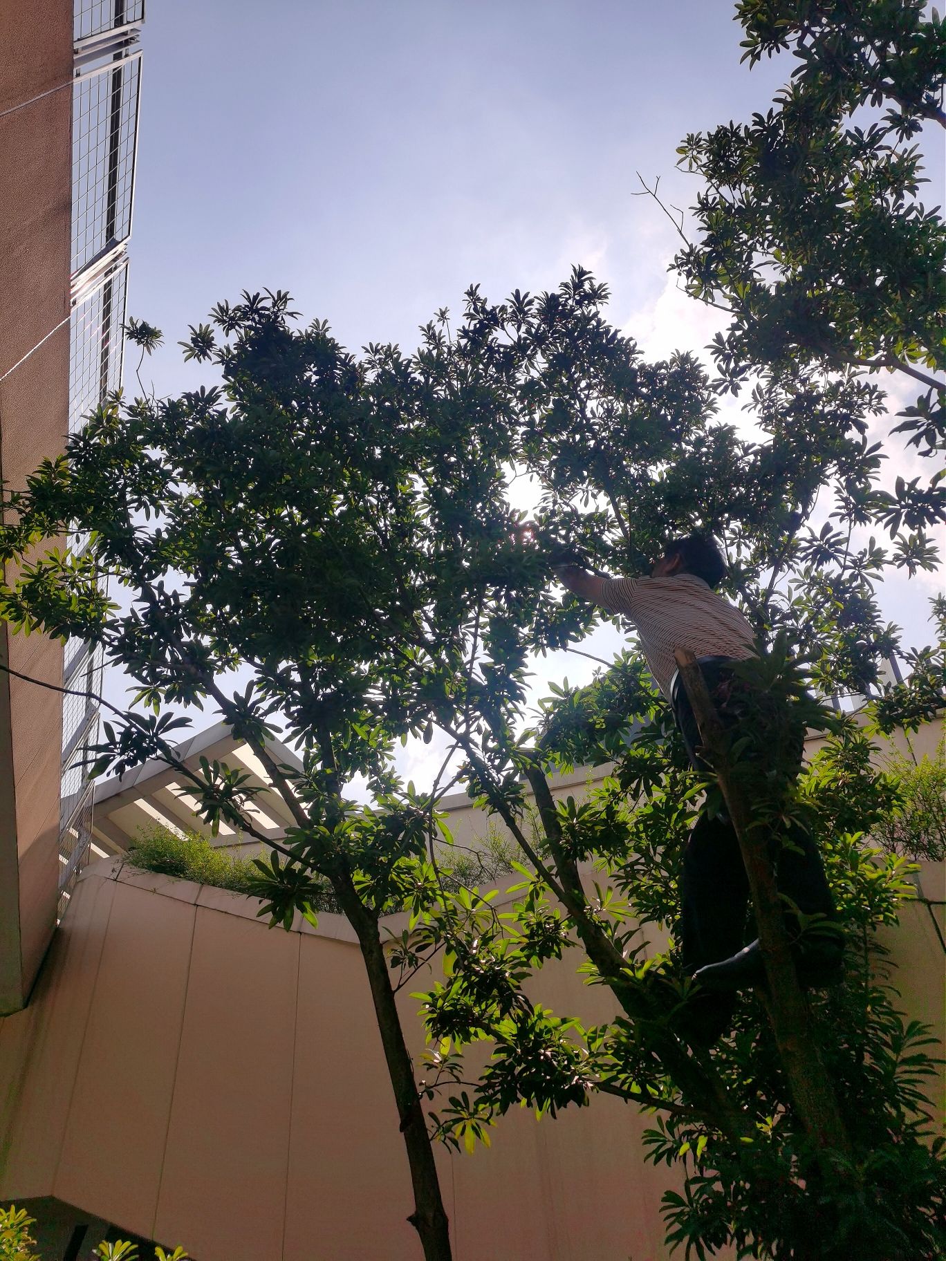 常德科技职业技术学院北校区