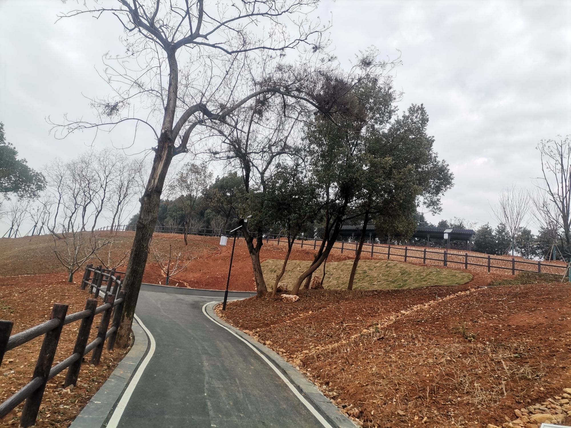 鹞山公园旅行图片 1