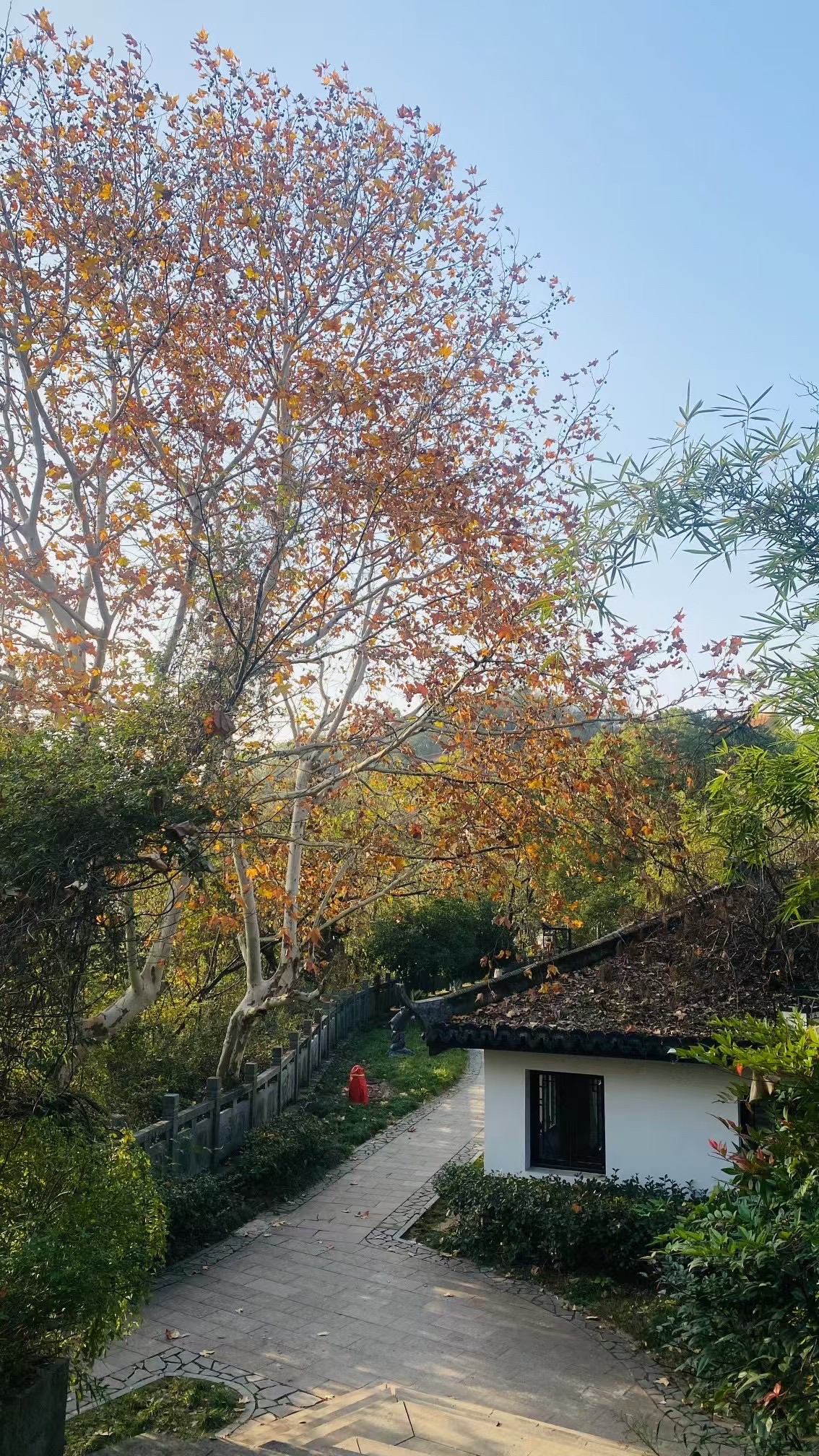 横山塔旅行图片 2