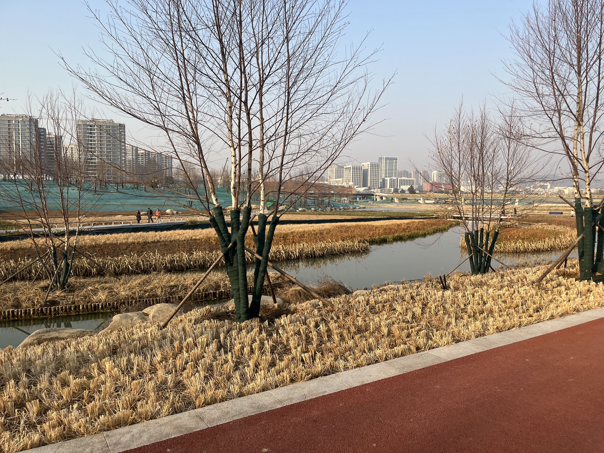 张村河生态公园旅行图片
