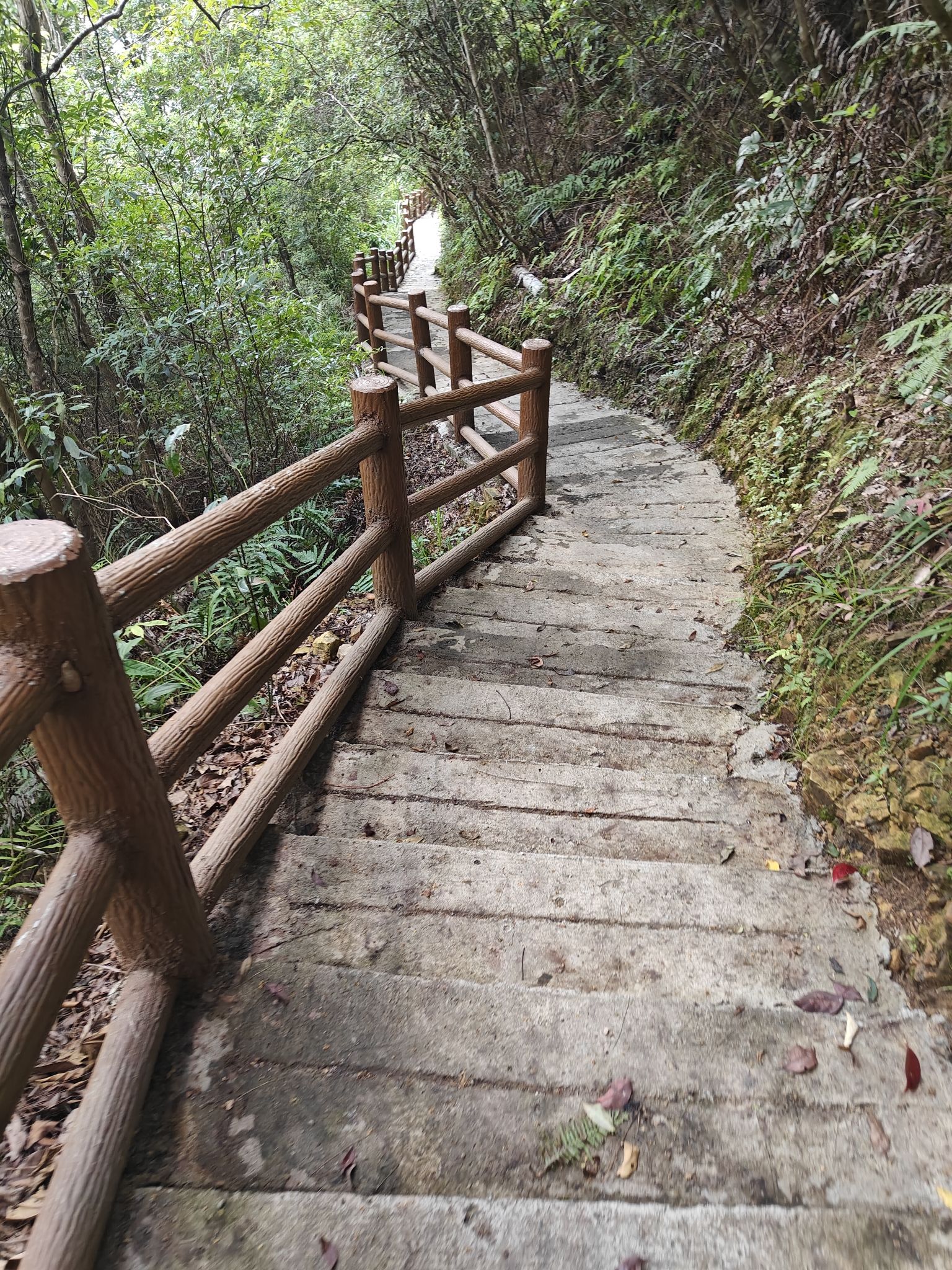 三妹瀑布旅行图片 1