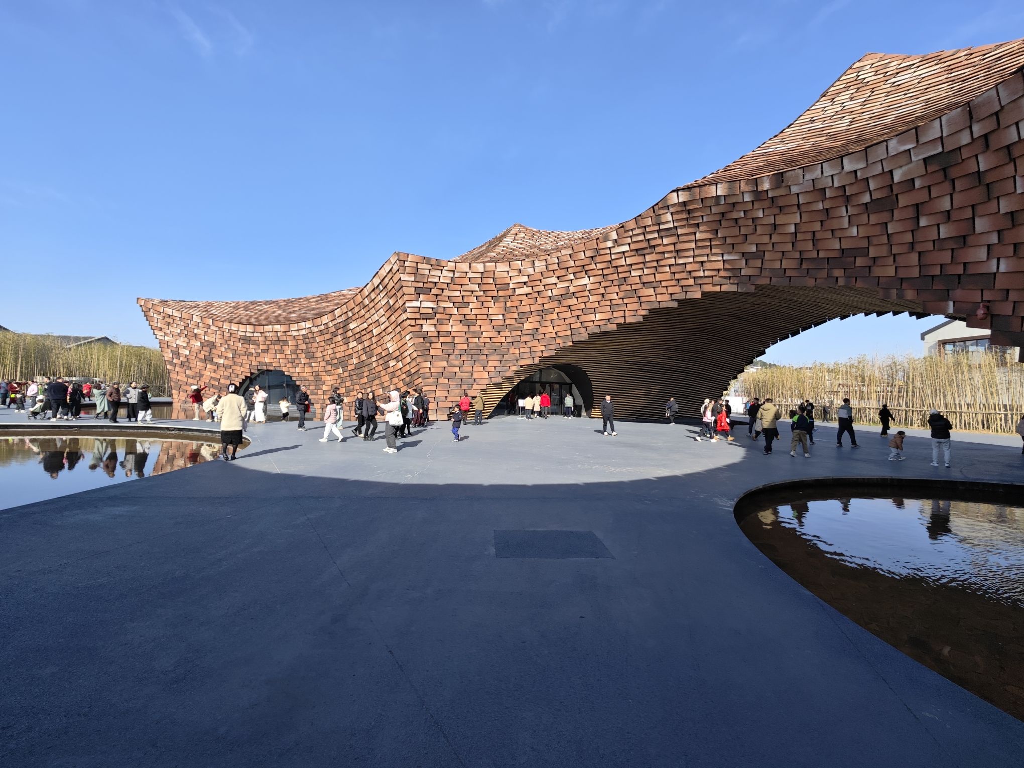 陶二厂旅行图片 2