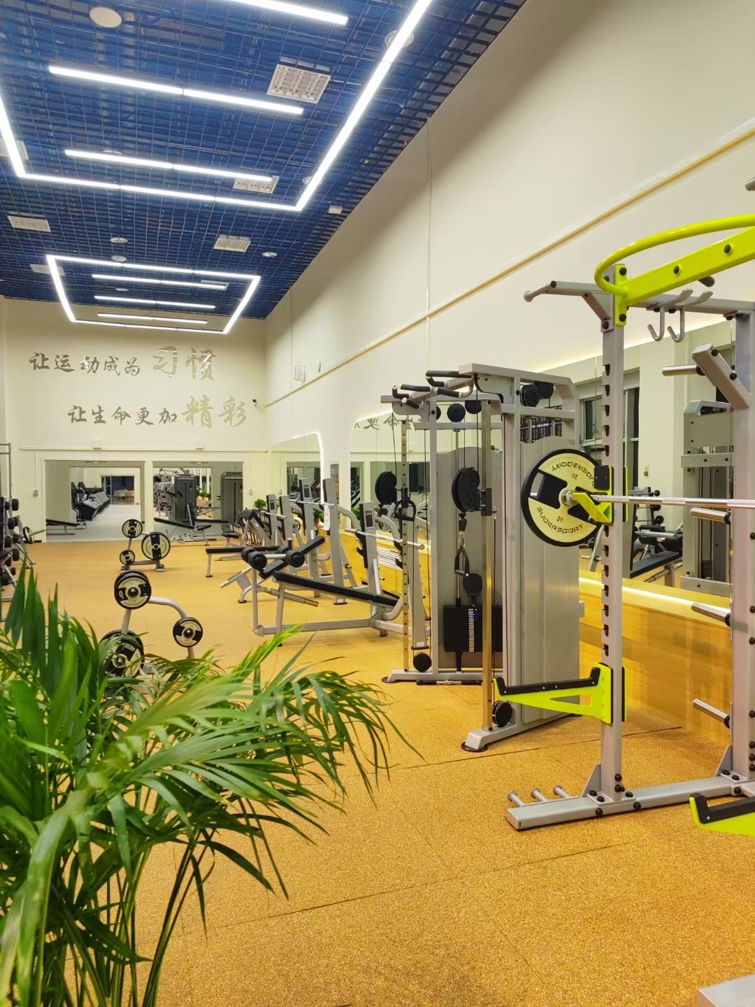 场地封面-动境健身中心