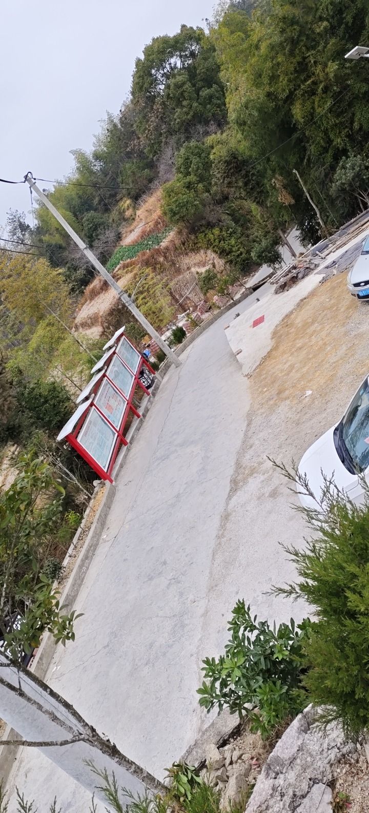清观楼旅行图片 1